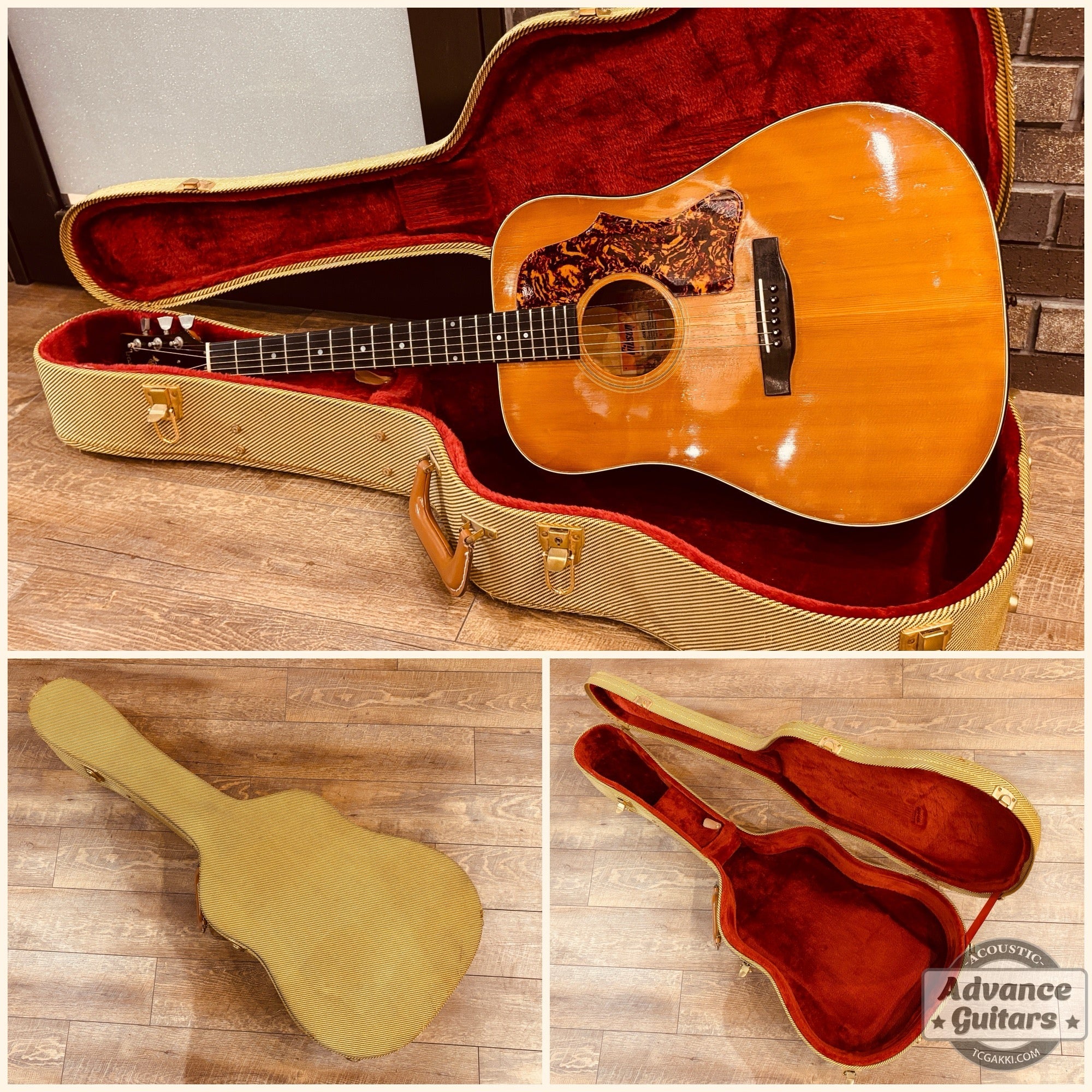 1974〜75年製 GOSPEL - TC楽器 - TCGAKKI