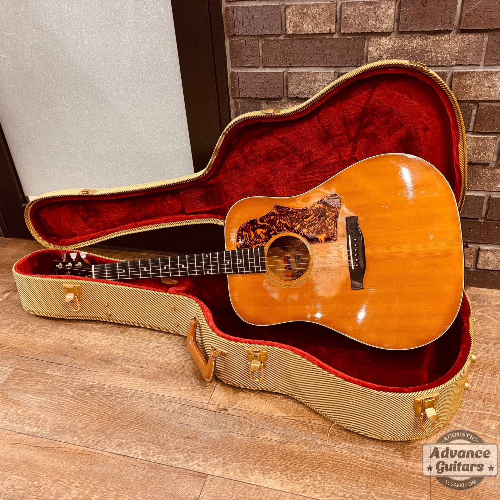 1974〜75年製 GOSPEL - TC楽器 - TCGAKKI