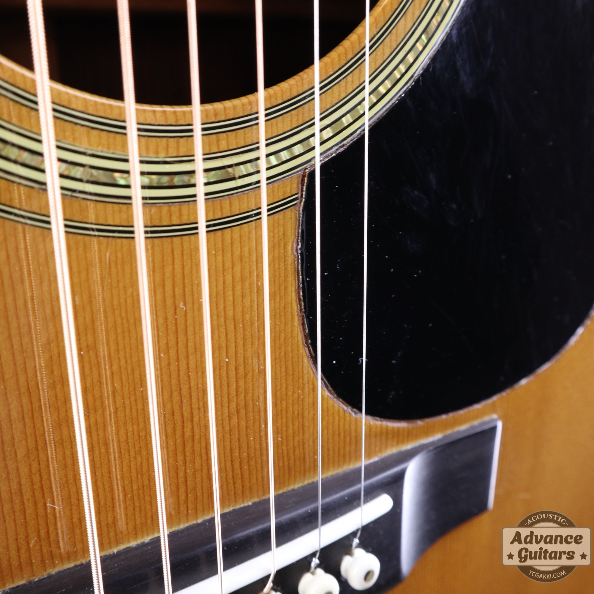 1975年製 D - 45 - TC楽器 - TCGAKKI