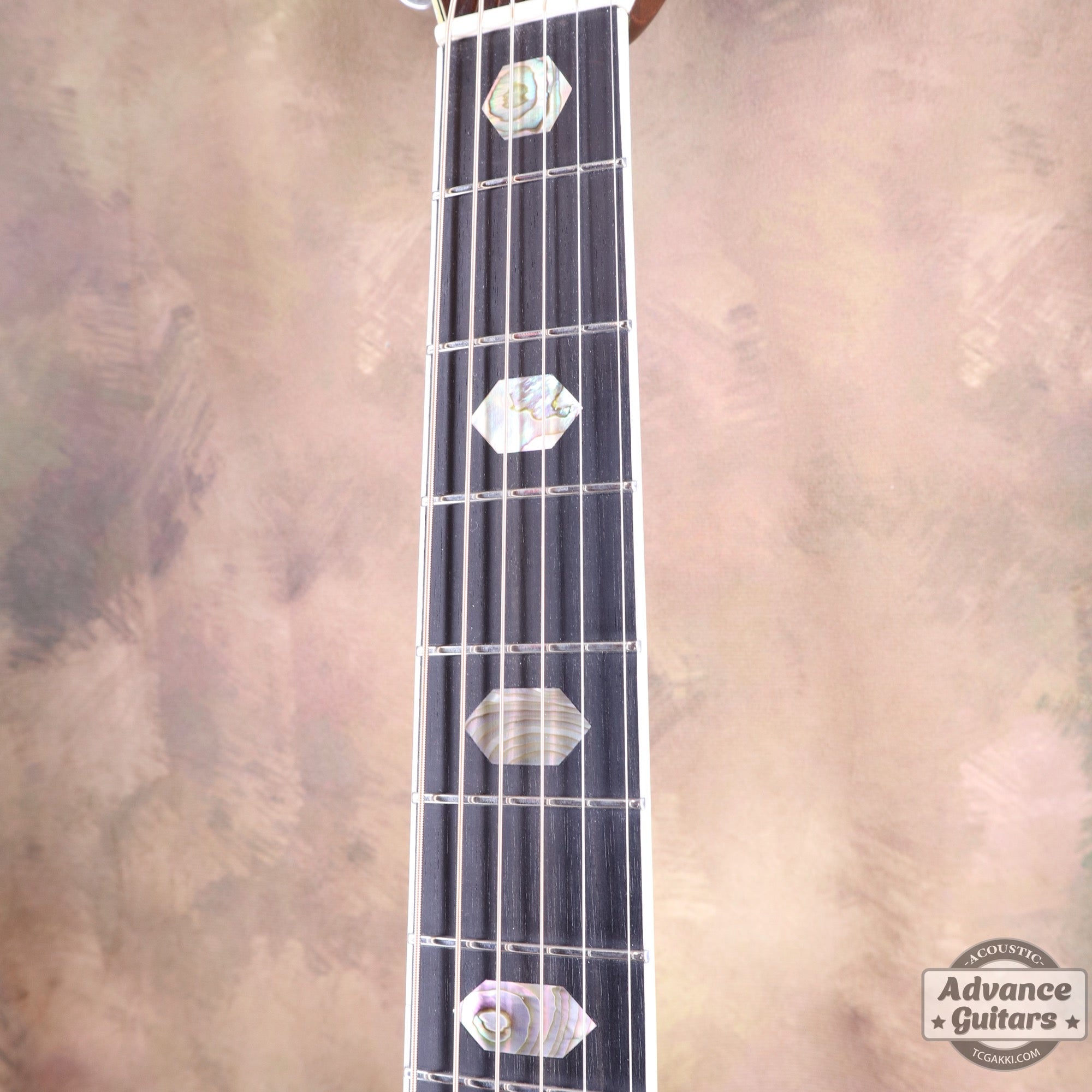 1975年製 D - 45 - TC楽器 - TCGAKKI