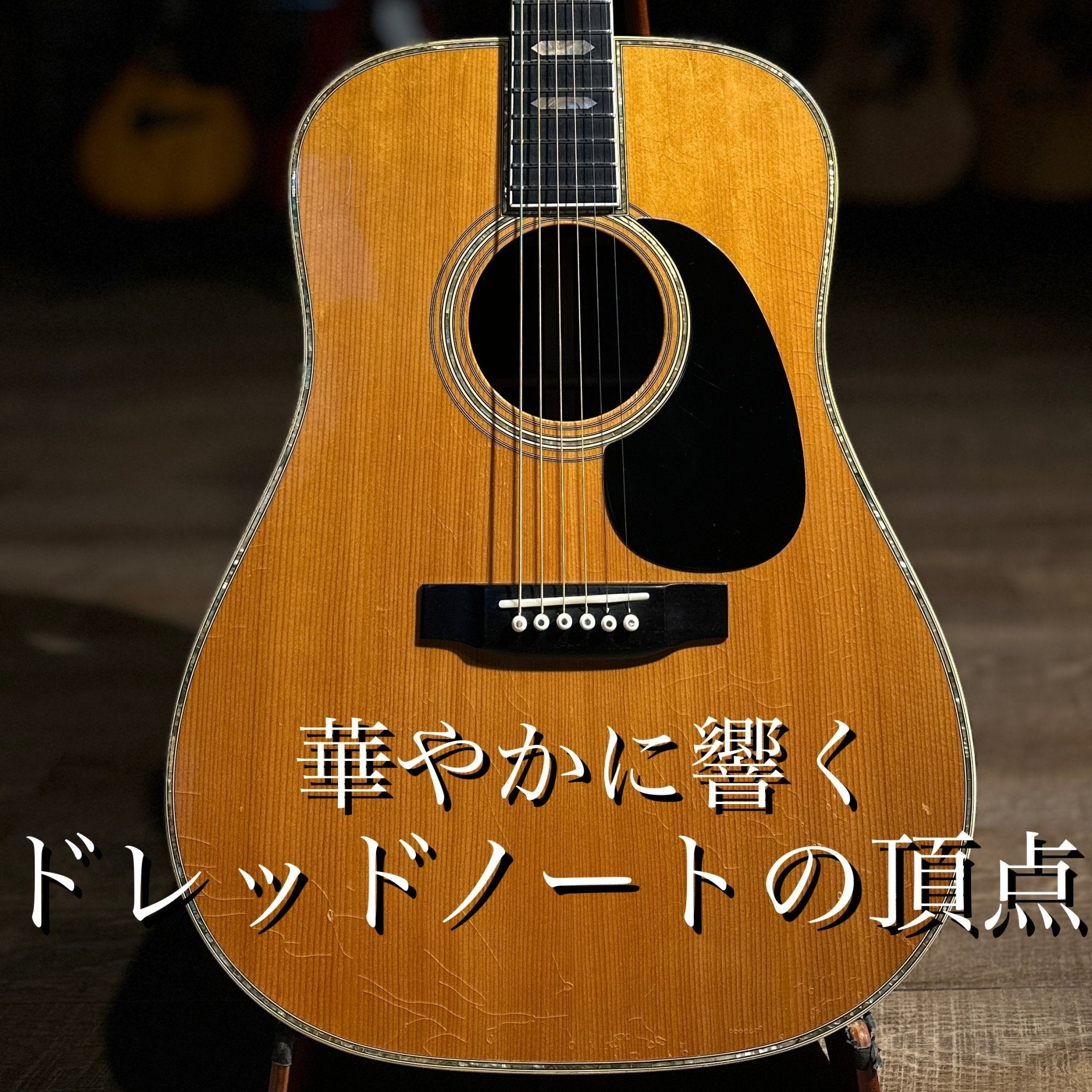 1975年製 D - 45 - TC楽器 - TCGAKKI