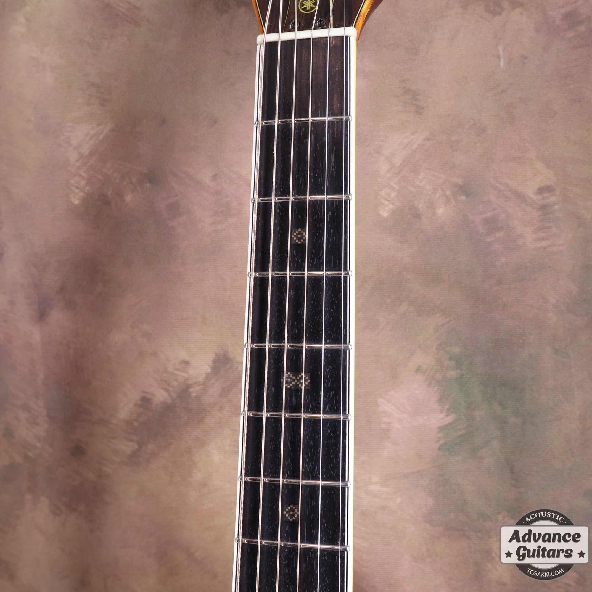 1975年製 L - 15 - TC楽器 - TCGAKKI