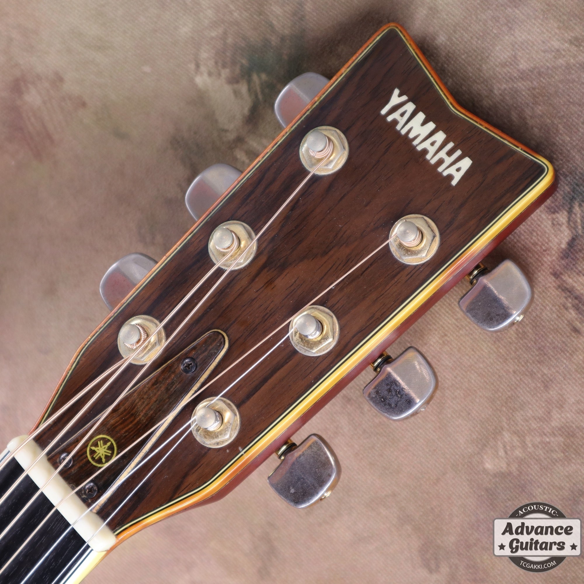 1975年製 L - 15 - TC楽器 - TCGAKKI