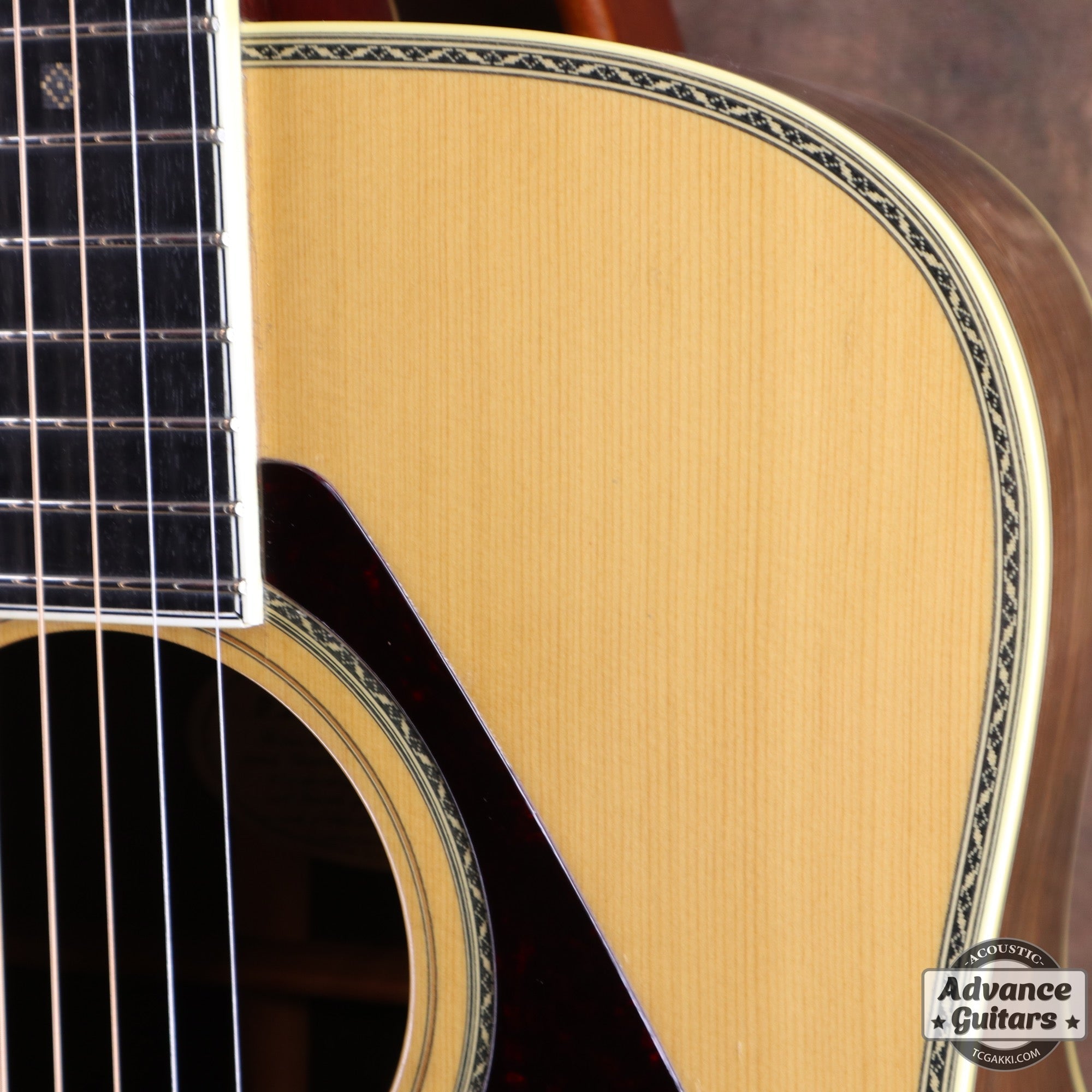 1975年製 L - 15 - TC楽器 - TCGAKKI