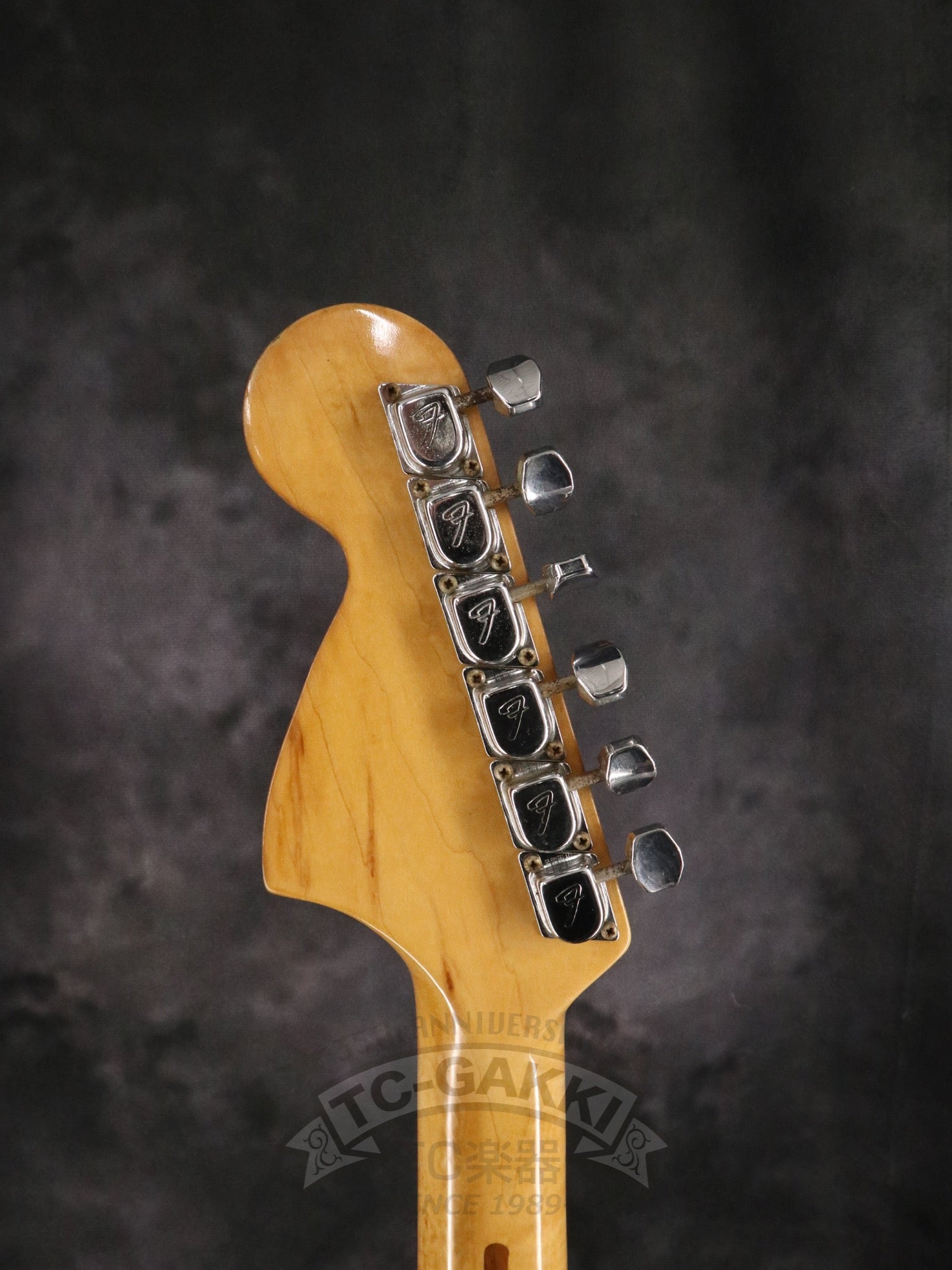 1975 STRATOCASTER Alder / Maple - TC楽器 - TCGAKKI