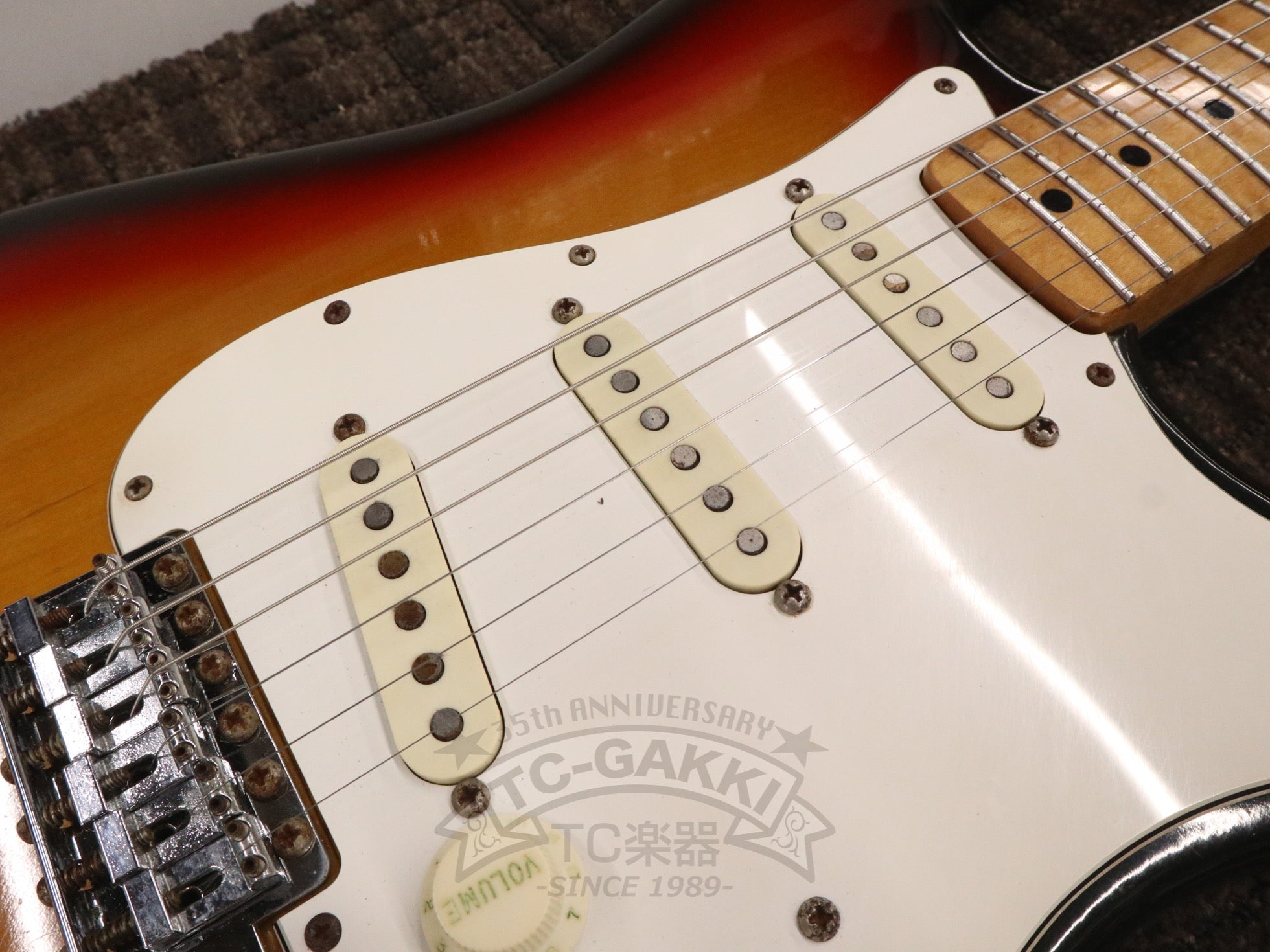 1975 STRATOCASTER Alder / Maple - TC楽器 - TCGAKKI