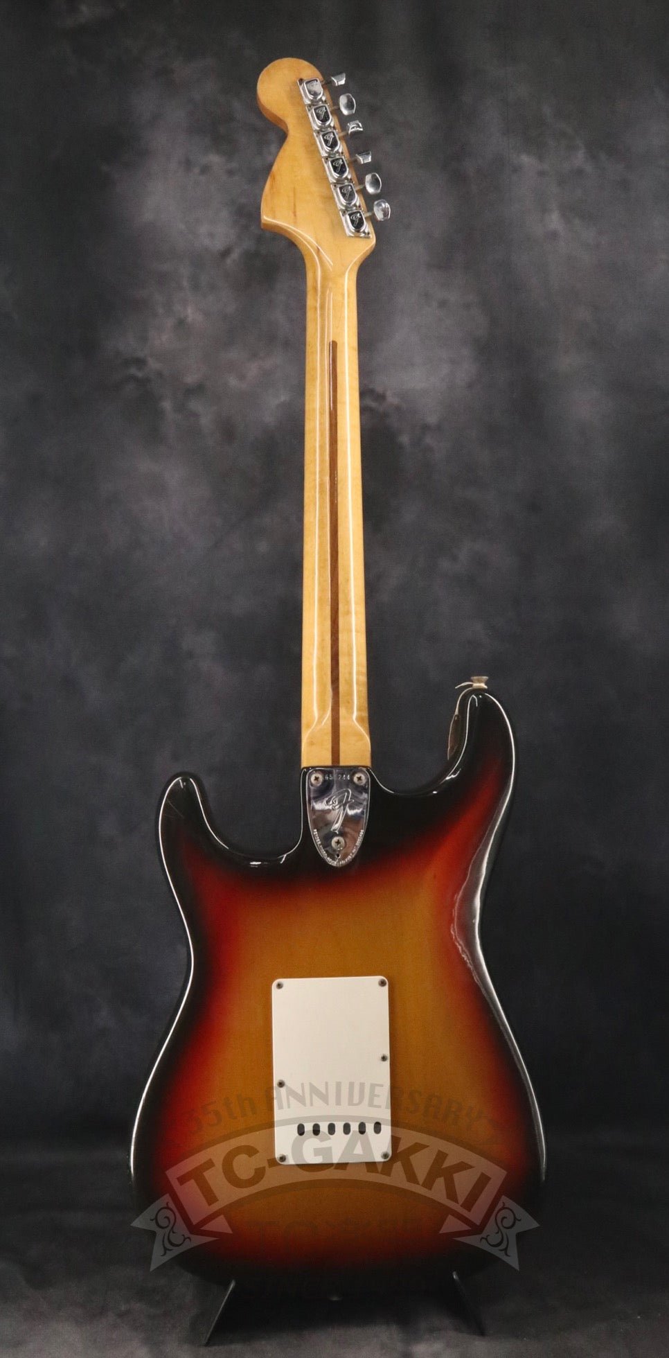 1975 STRATOCASTER Alder / Maple - TC楽器 - TCGAKKI