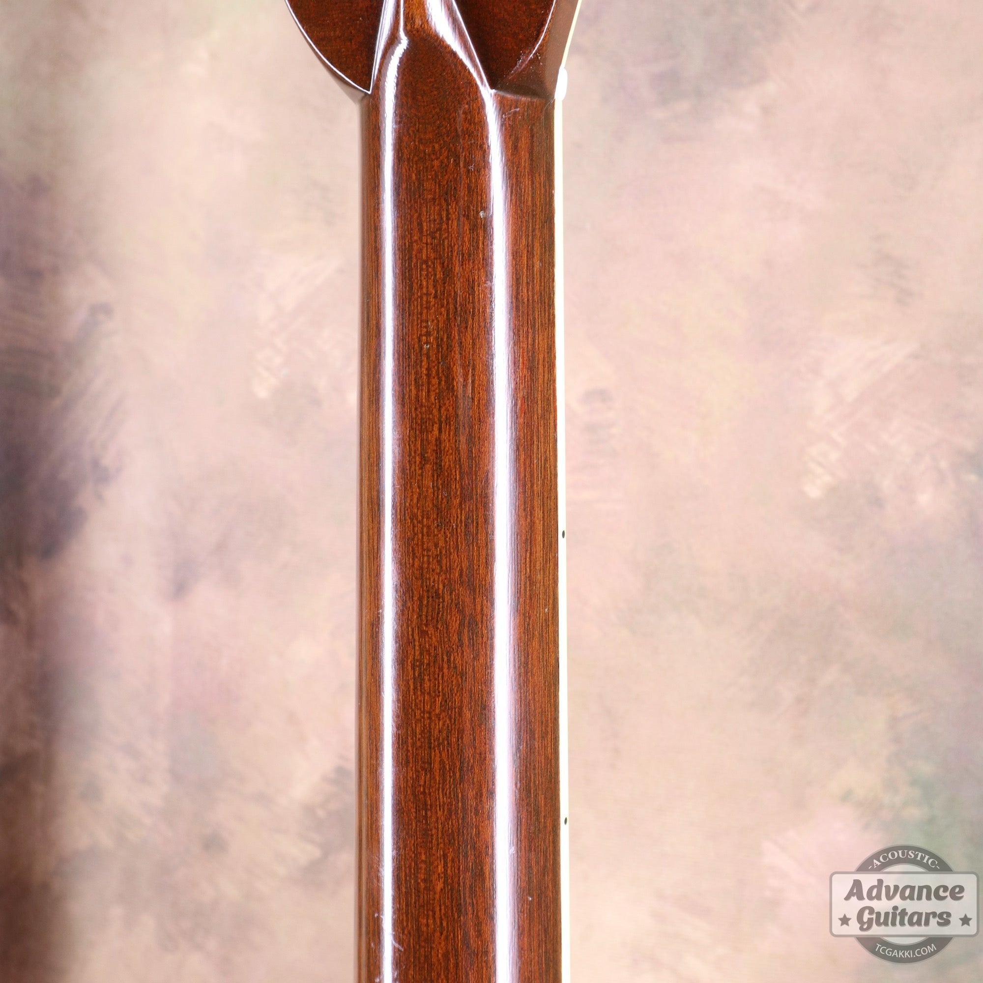 1976年製 D - 45 - TC楽器 - TCGAKKI