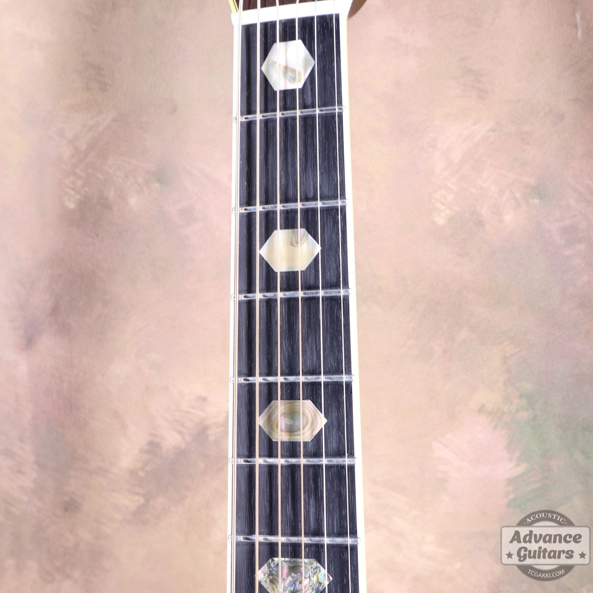 1976年製 D - 45 - TC楽器 - TCGAKKI