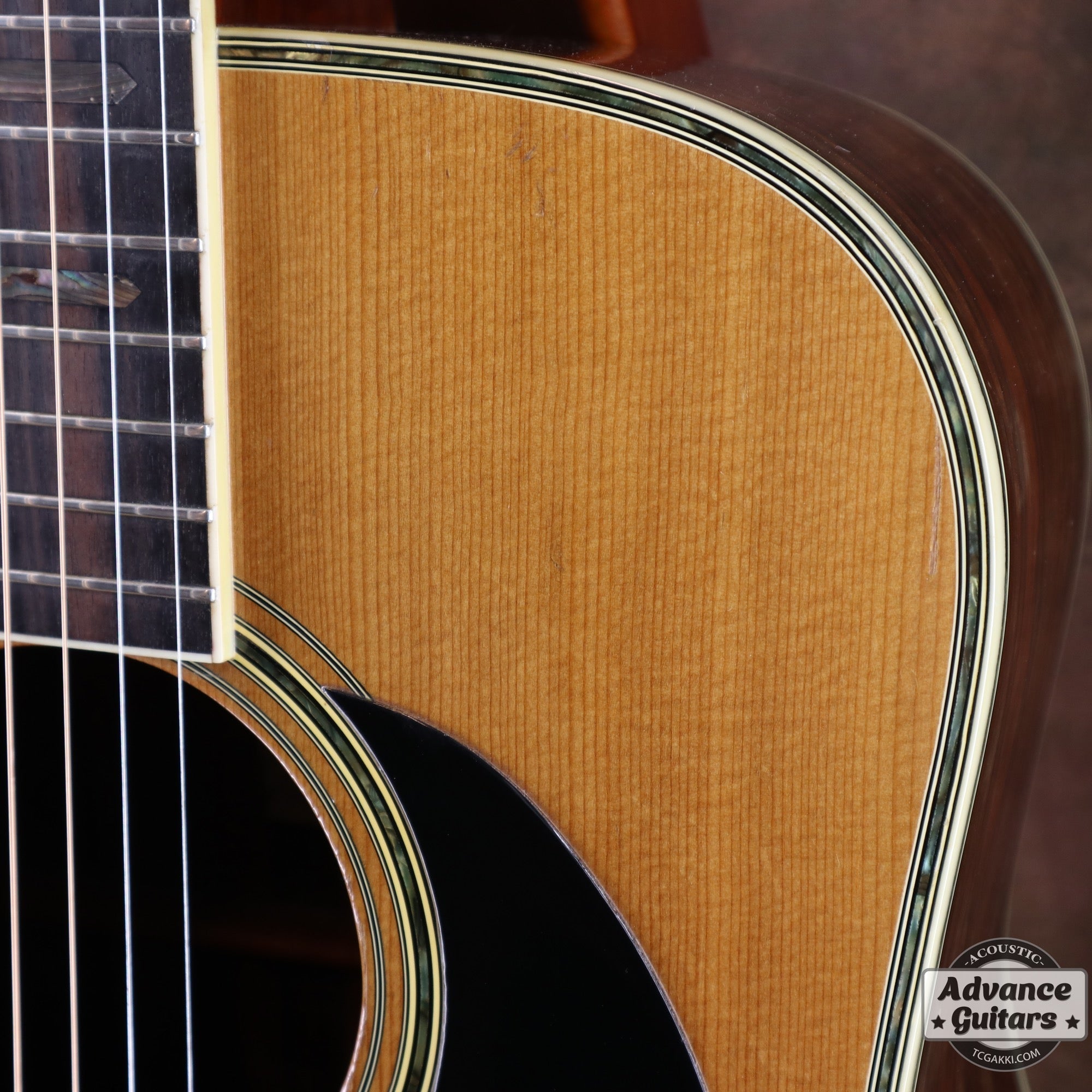 1976年製 YW - 800 - TC楽器 - TCGAKKI