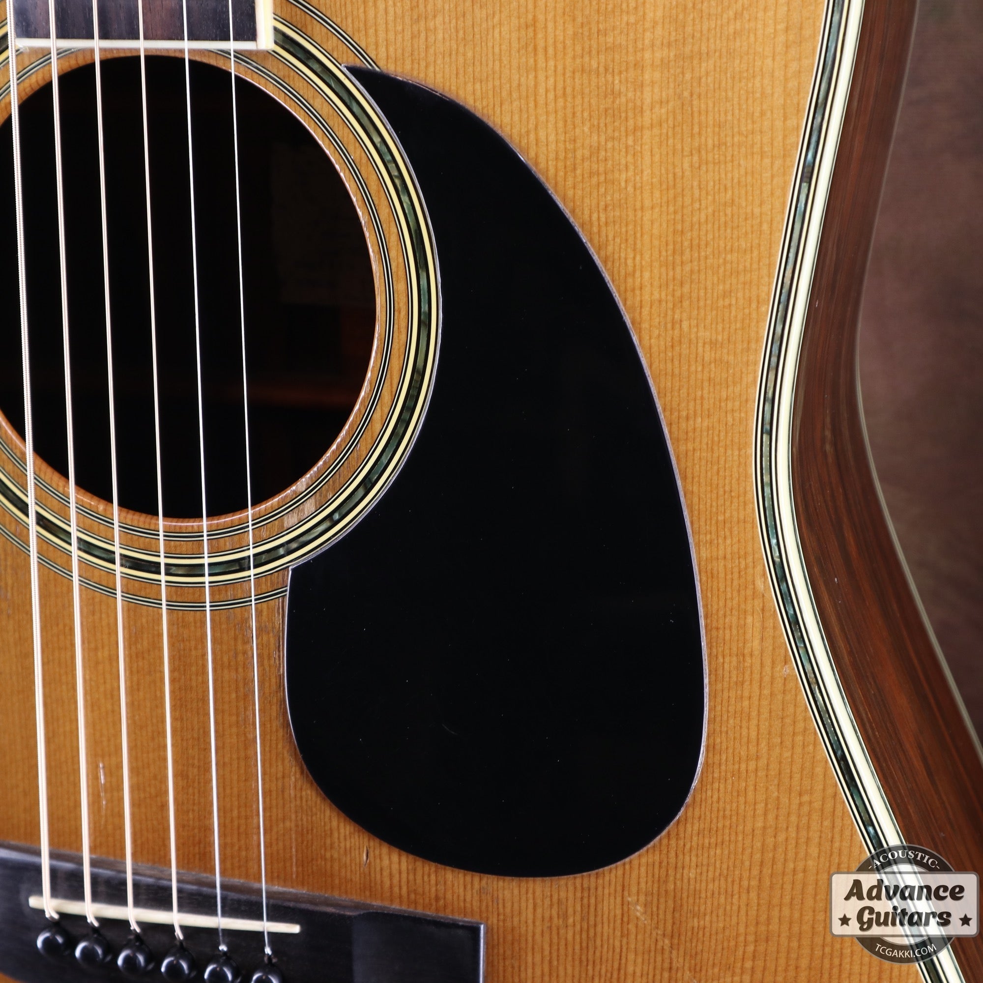 1976年製 YW - 800 - TC楽器 - TCGAKKI