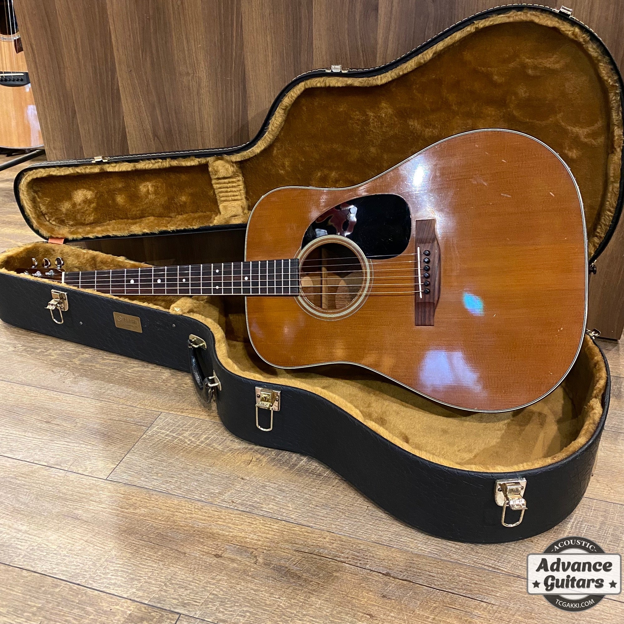 1977年製 D - 19 - TC楽器 - TCGAKKI