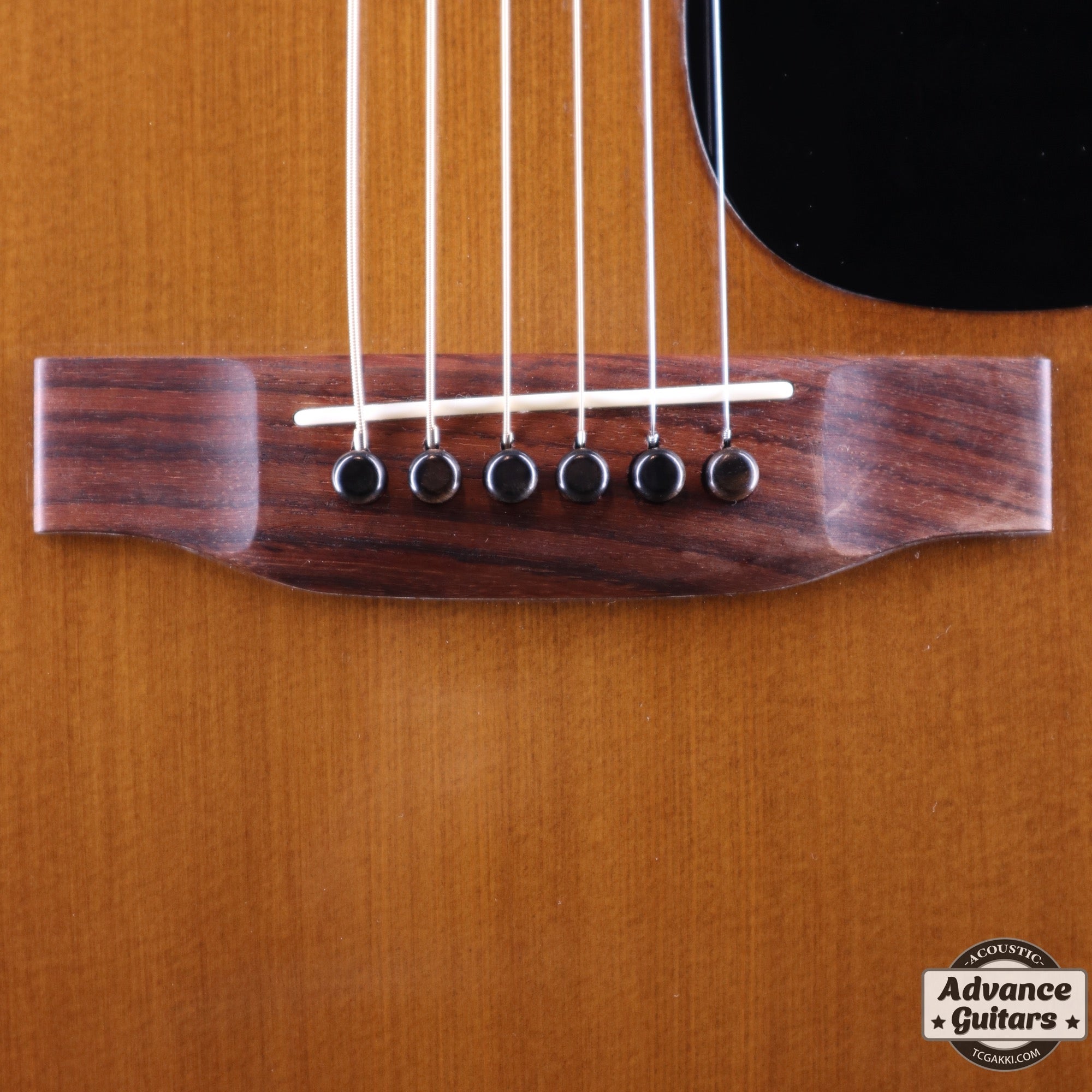 1977年製 D - 19 - TC楽器 - TCGAKKI