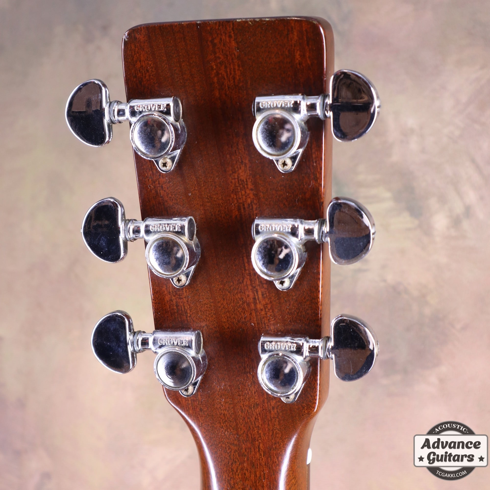 1977年製 D - 19 - TC楽器 - TCGAKKI