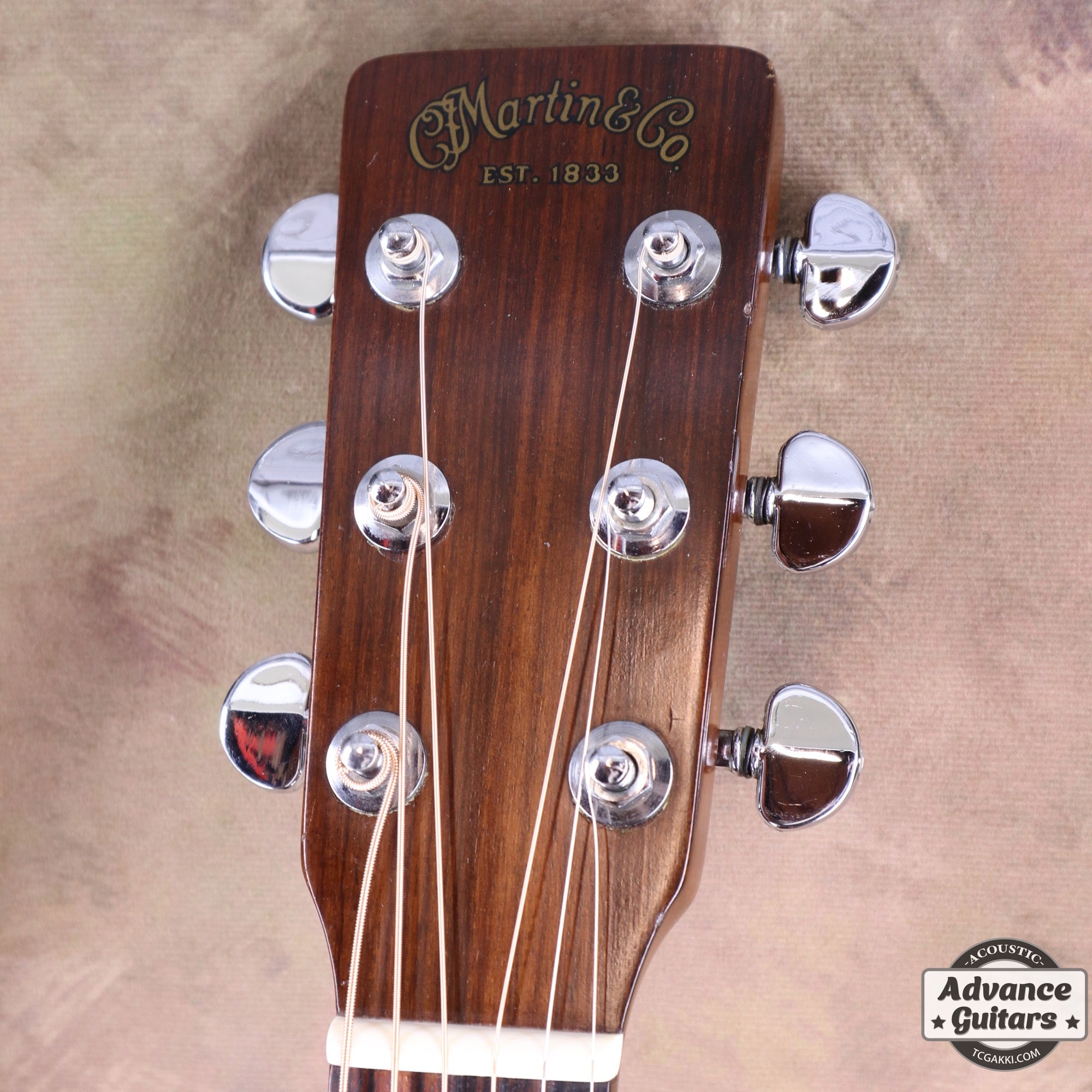 1977年製 D - 19 - TC楽器 - TCGAKKI