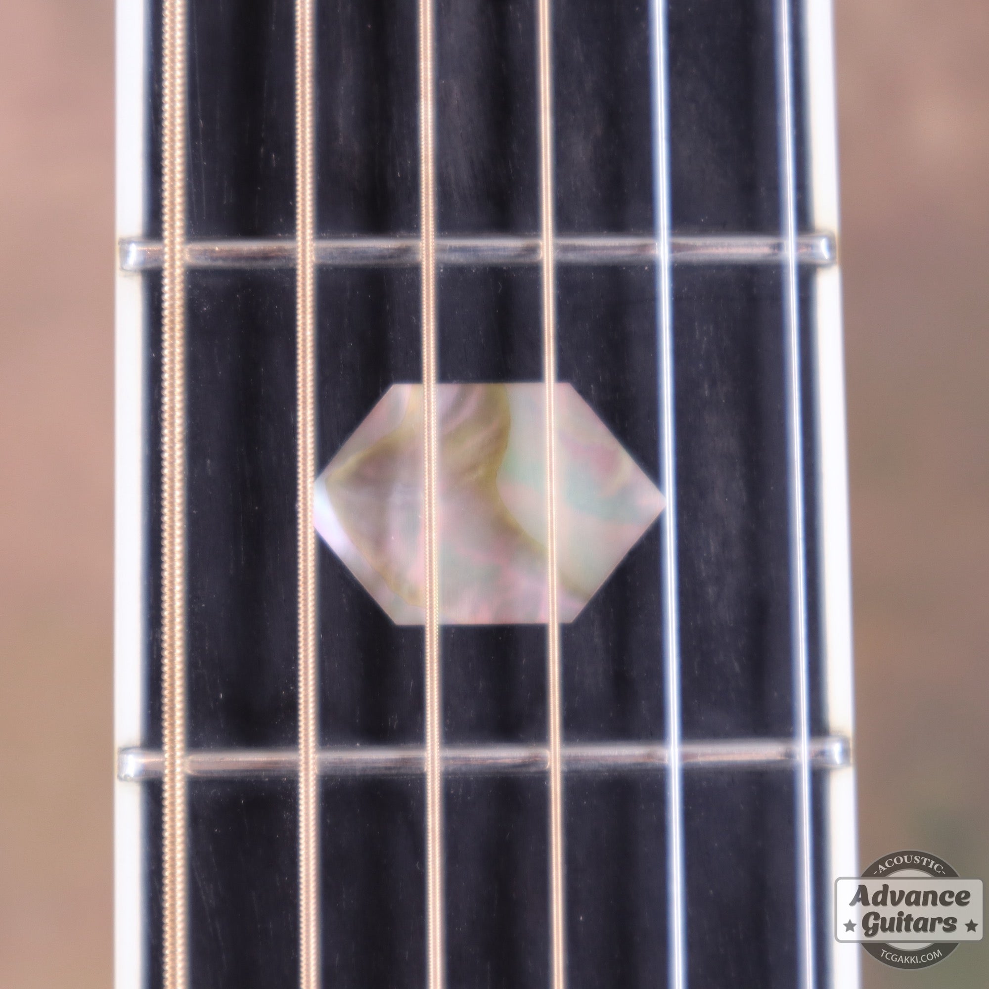 1977年製 D - 45 - TC楽器 - TCGAKKI