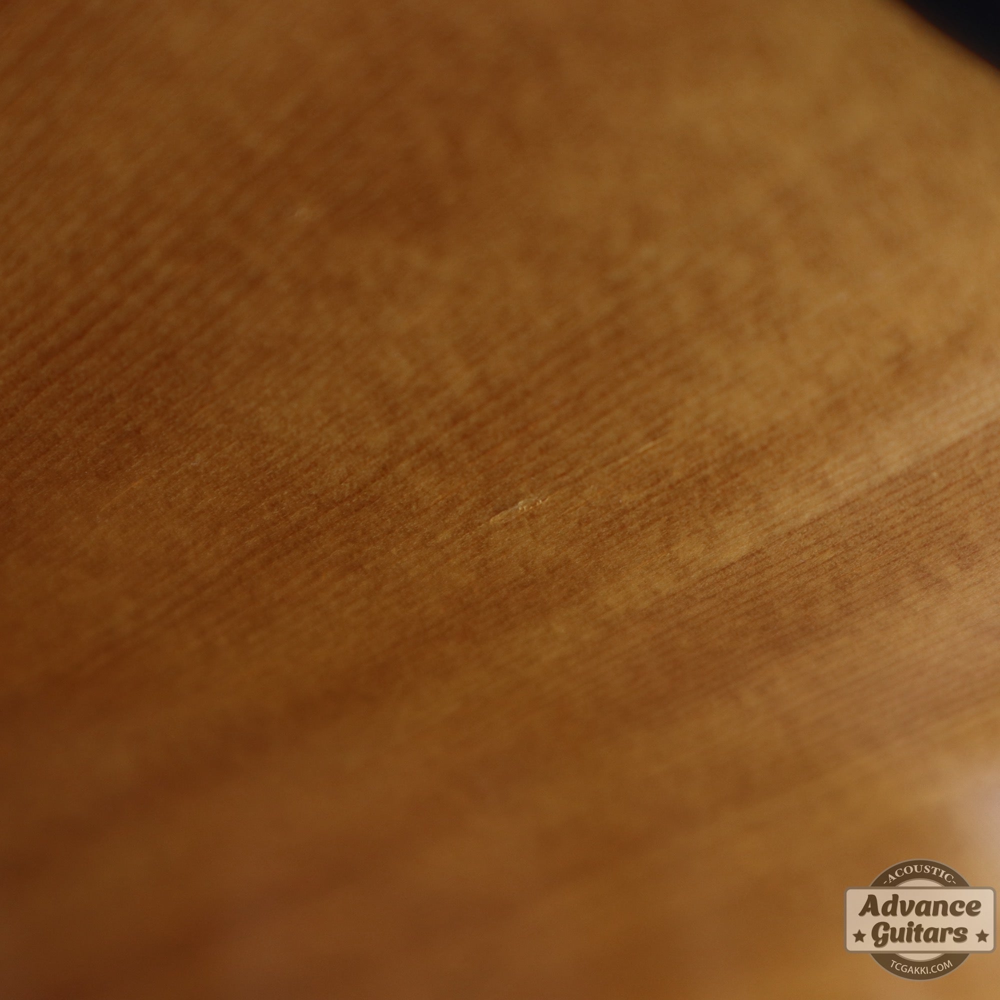 1977年製 D - 45 - TC楽器 - TCGAKKI