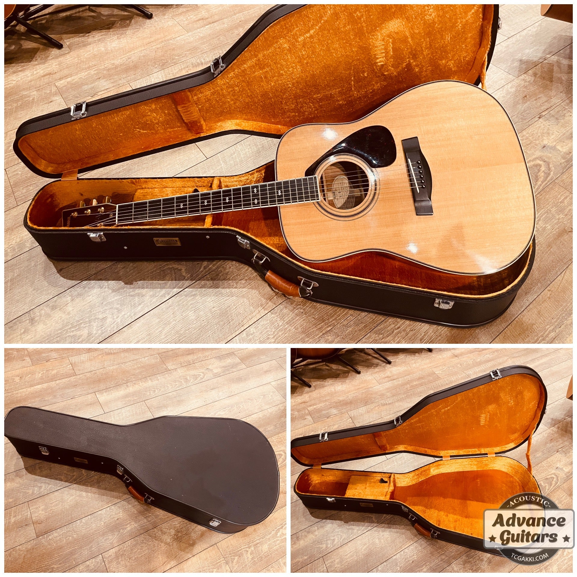 1977年製 L - 5 前期型 - TC楽器 - TCGAKKI