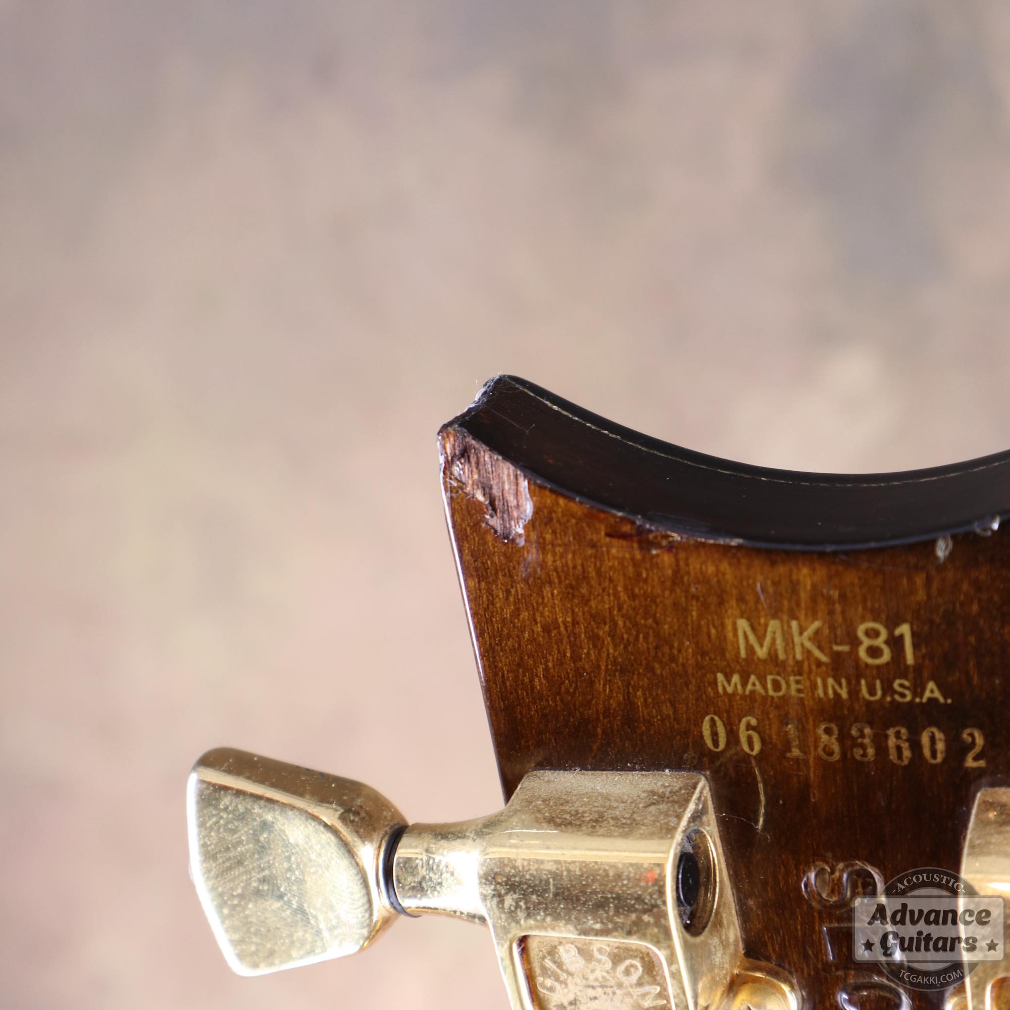 1977年製 MK - 81 - TC楽器 - TCGAKKI