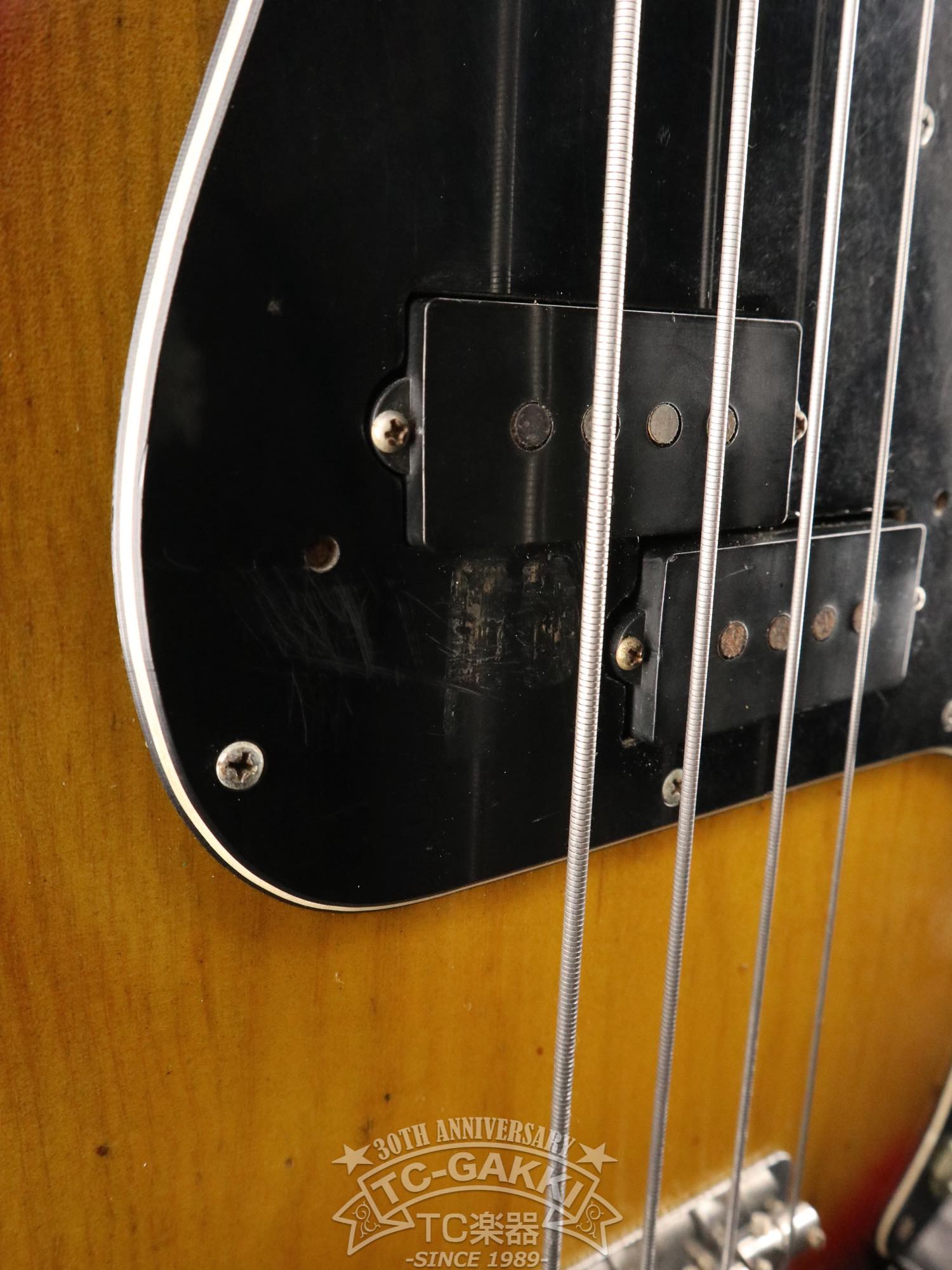 1977 PRECISION BASS Fretless - TC楽器 - TCGAKKI