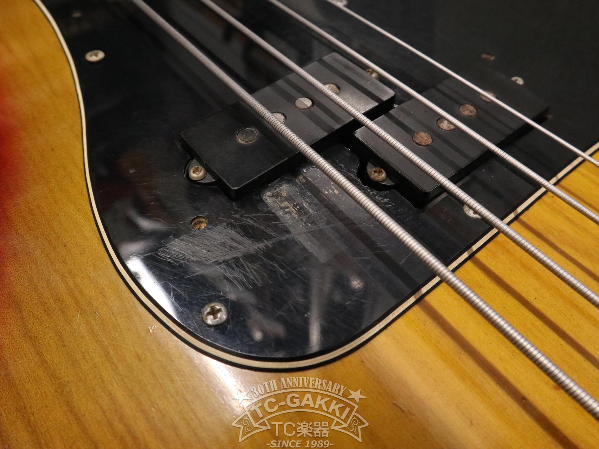 1977 PRECISION BASS Fretless - TC楽器 - TCGAKKI