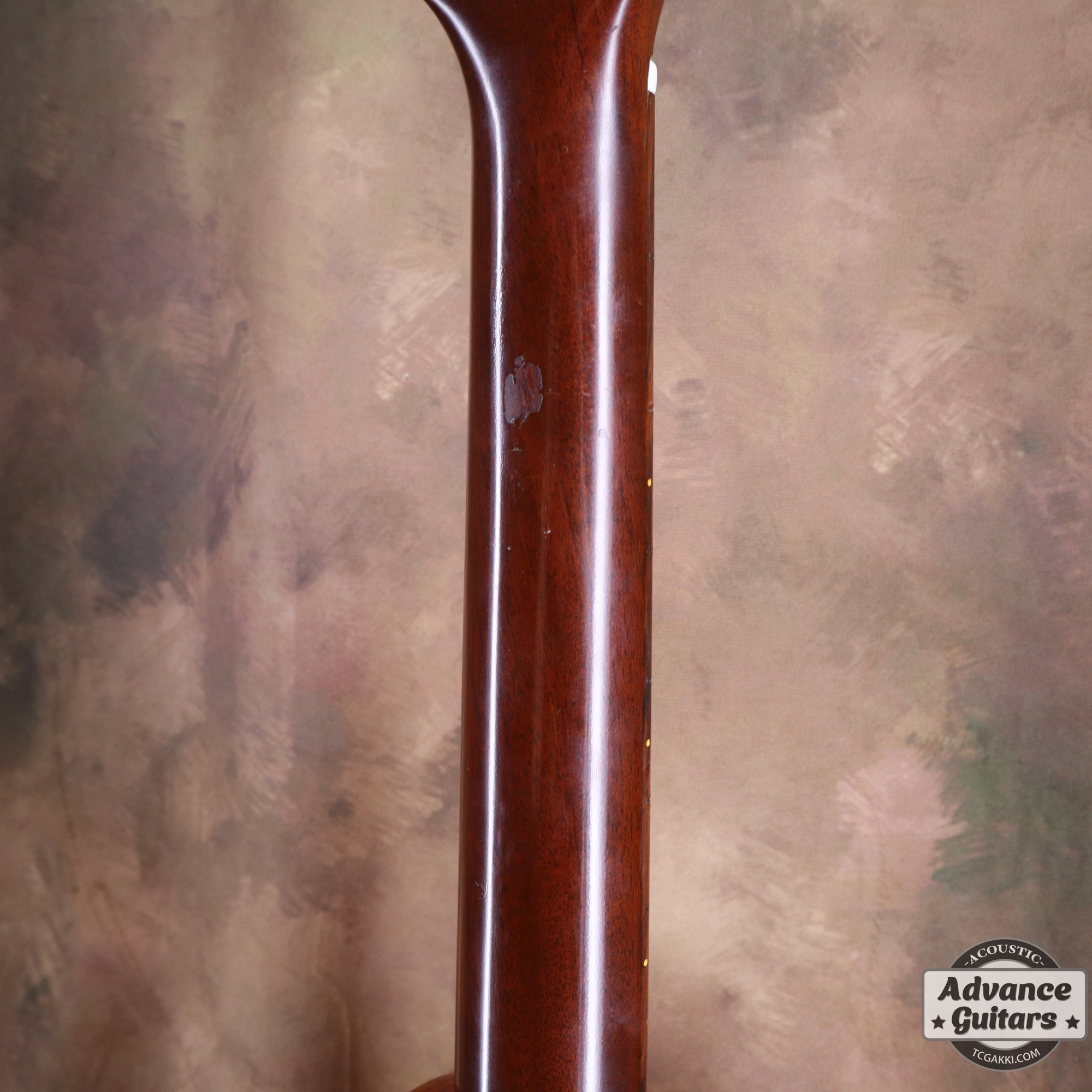 1978年製 D - 18 - TC楽器 - TCGAKKI