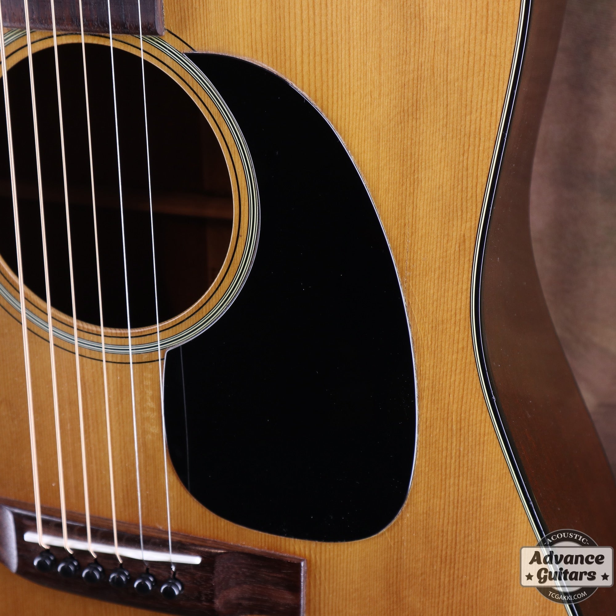 1978年製 D - 18 - TC楽器 - TCGAKKI