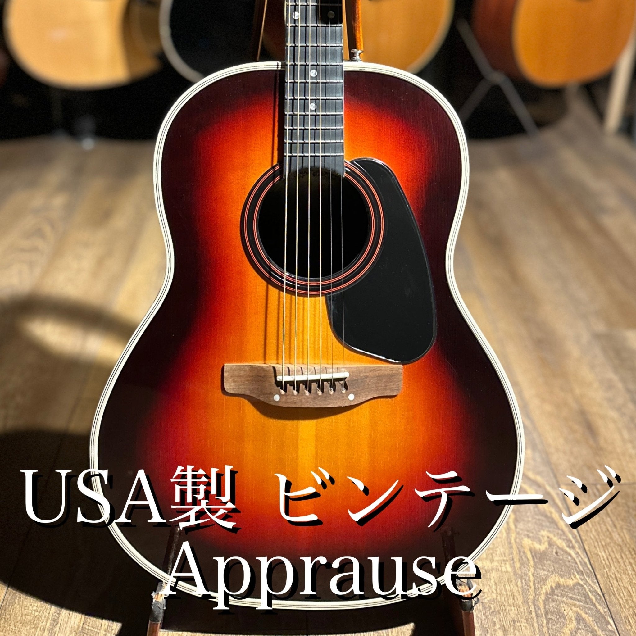 アコースティックギター｜オンライン販売｜TC楽器・大久保管楽器店