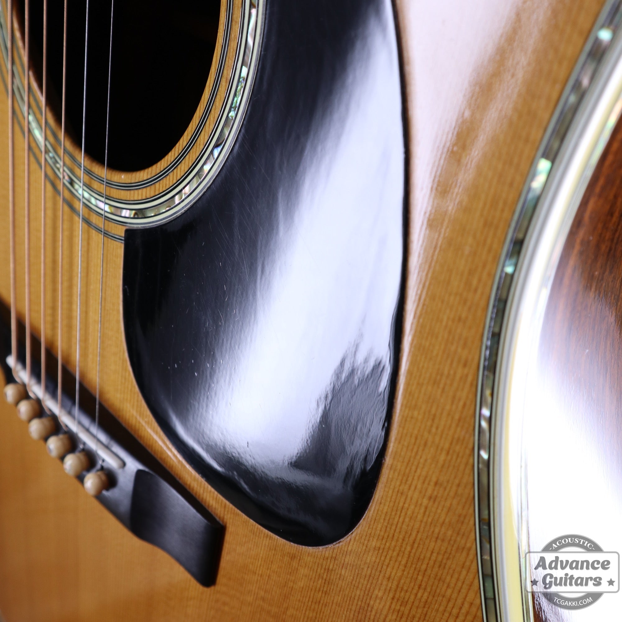 1979年製 D - 45 - TC楽器 - TCGAKKI