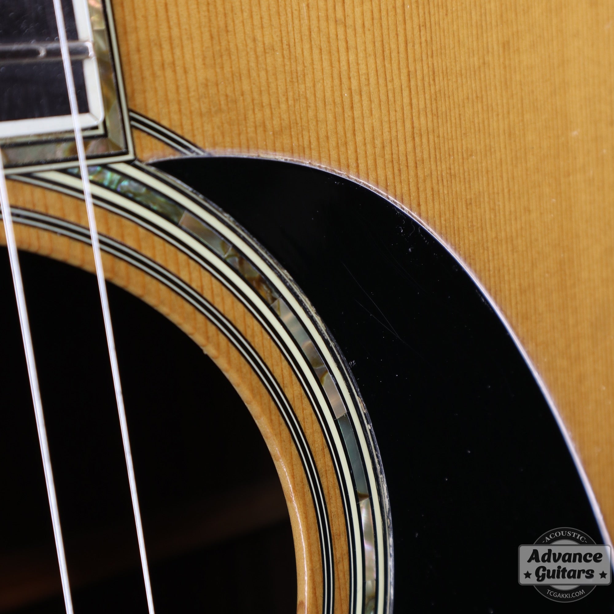 1979年製 D - 45 - TC楽器 - TCGAKKI