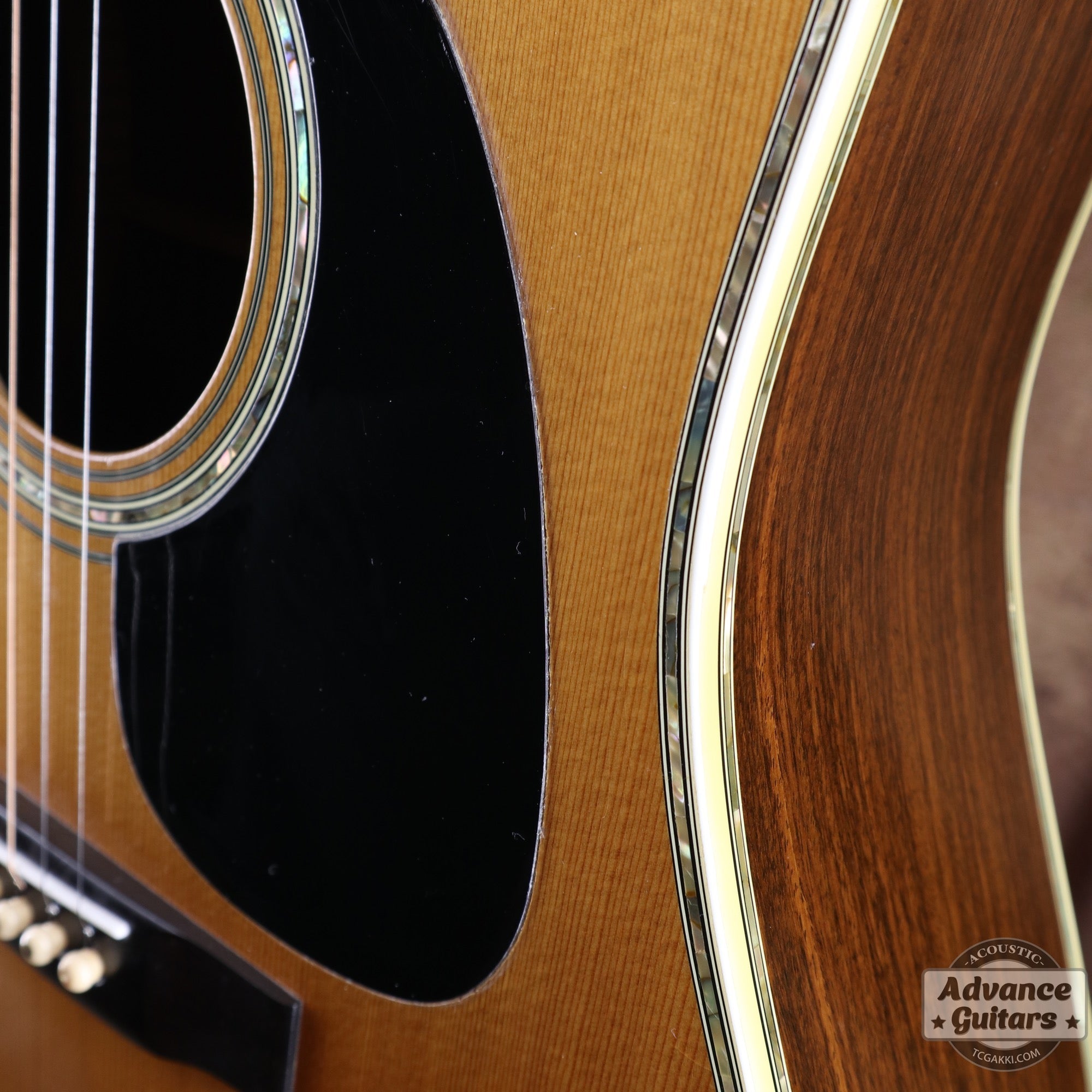 1979年製 D - 45 - TC楽器 - TCGAKKI