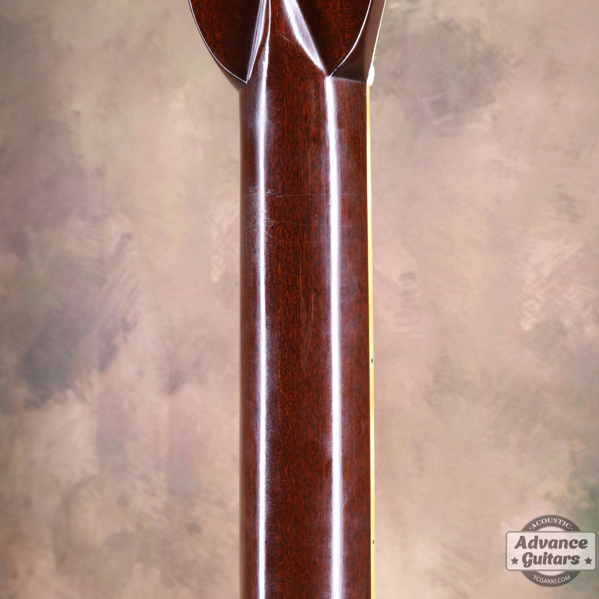 1979年製 D - 45 - TC楽器 - TCGAKKI