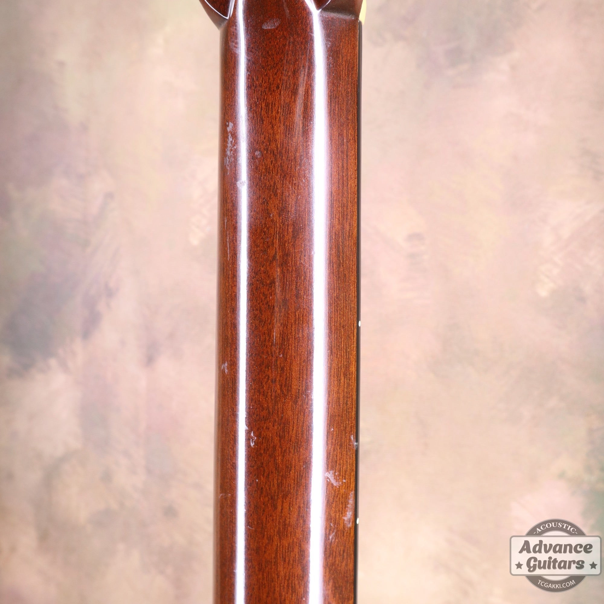 1979年製 Dreadnought Custom - TC楽器 - TCGAKKI