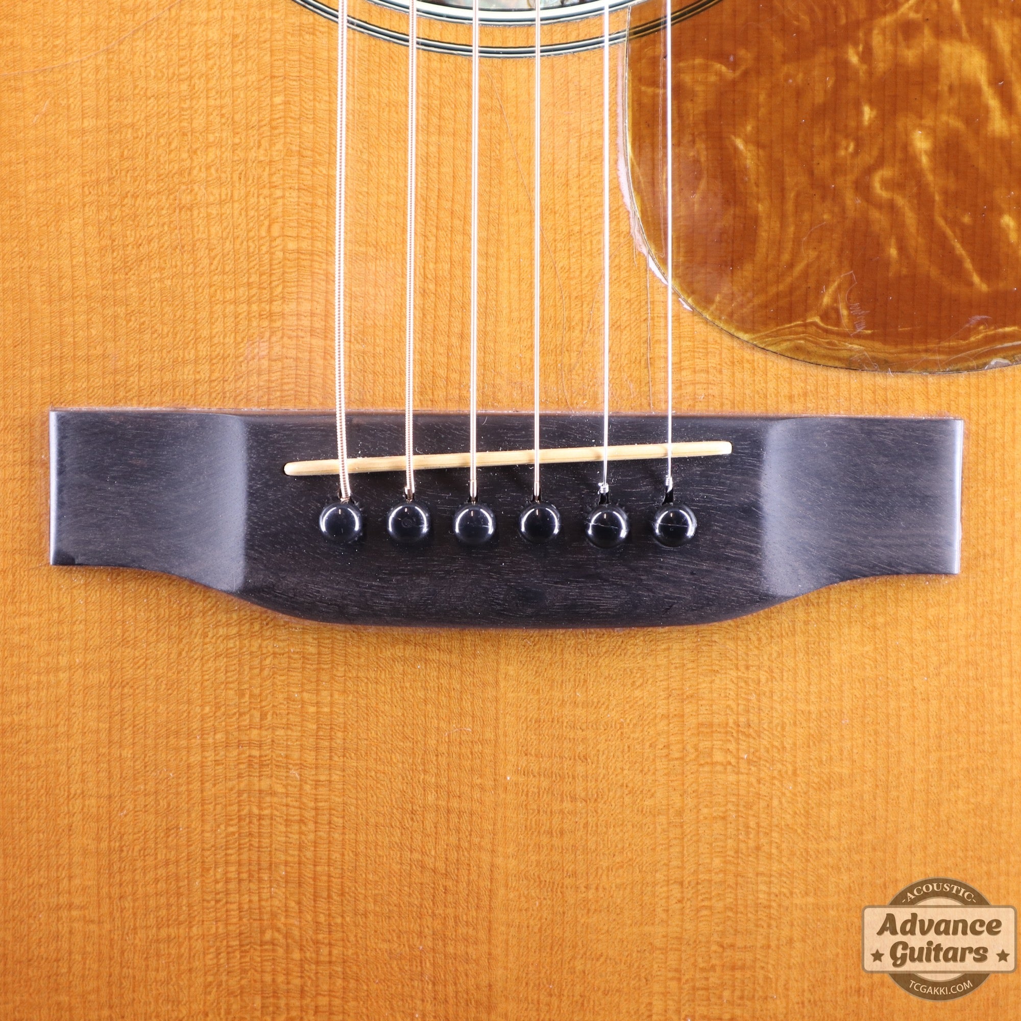 1979年製 Dreadnought Custom - TC楽器 - TCGAKKI