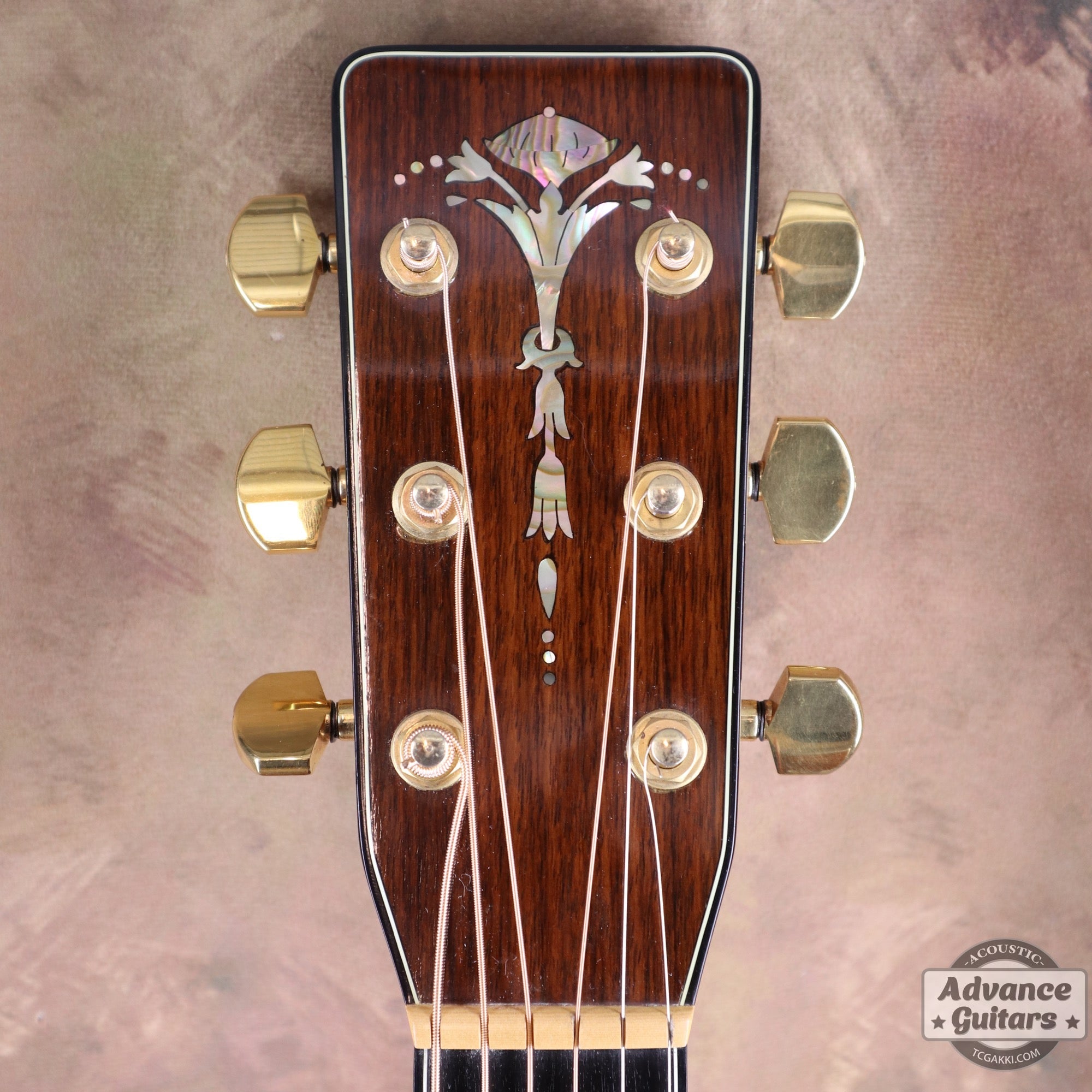 1979年製 Dreadnought Custom - TC楽器 - TCGAKKI