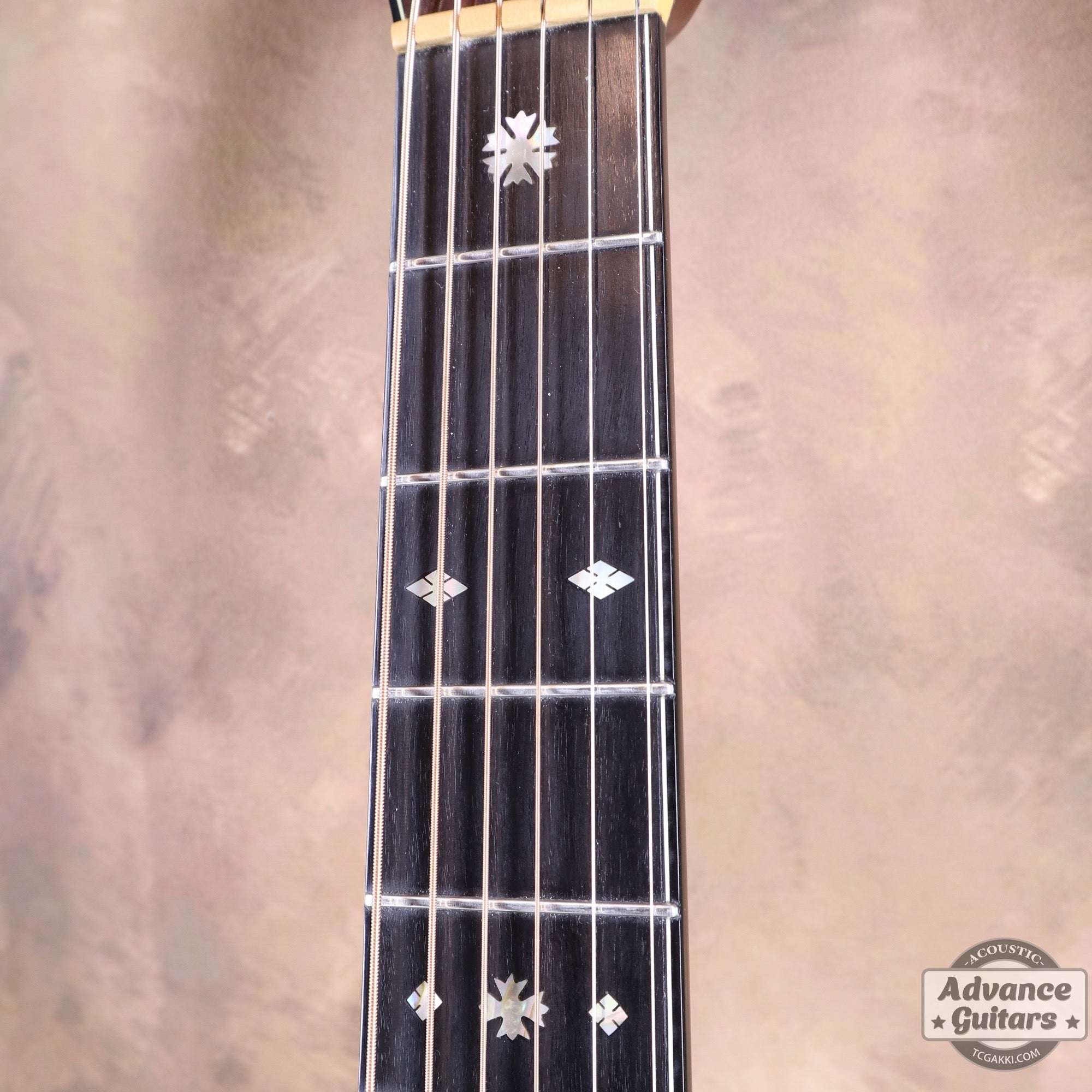 1979年製 Dreadnought Custom - TC楽器 - TCGAKKI