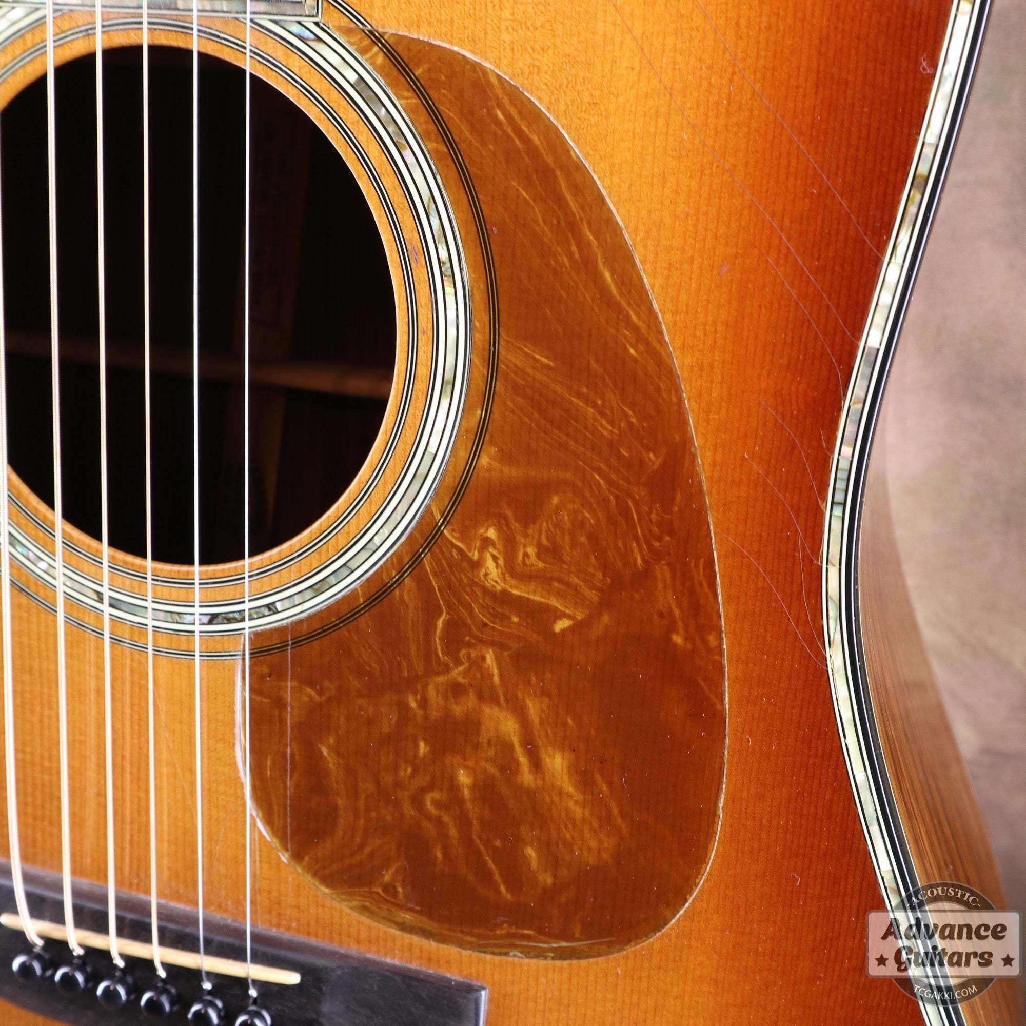 1979年製 Dreadnought Custom - TC楽器 - TCGAKKI