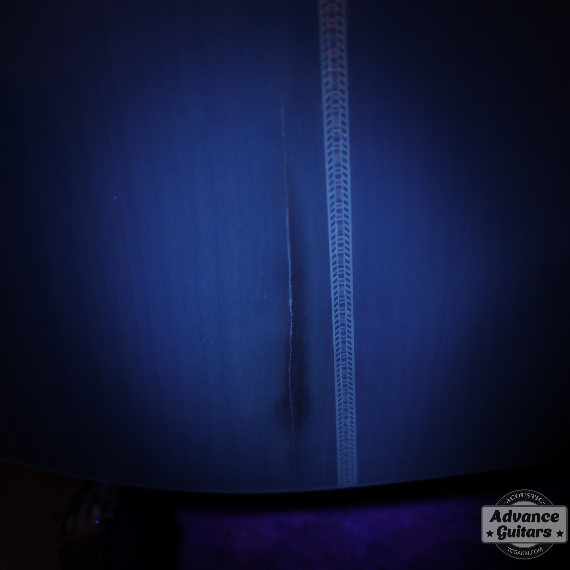 1979年製 Dreadnought Custom - TC楽器 - TCGAKKI