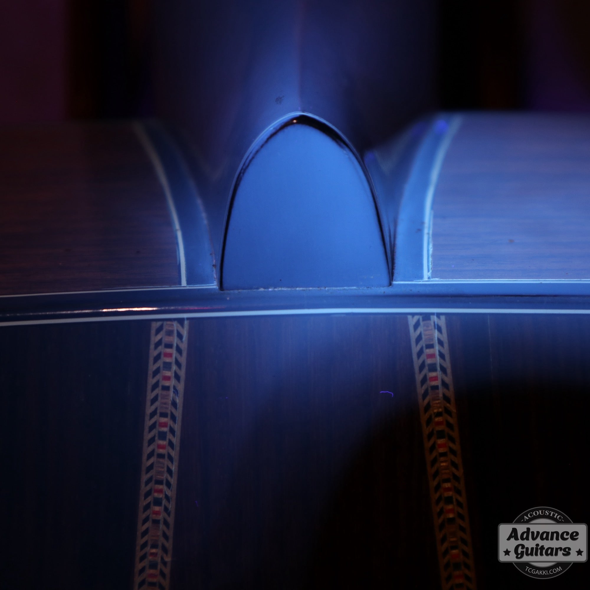 1979年製 Dreadnought Custom - TC楽器 - TCGAKKI