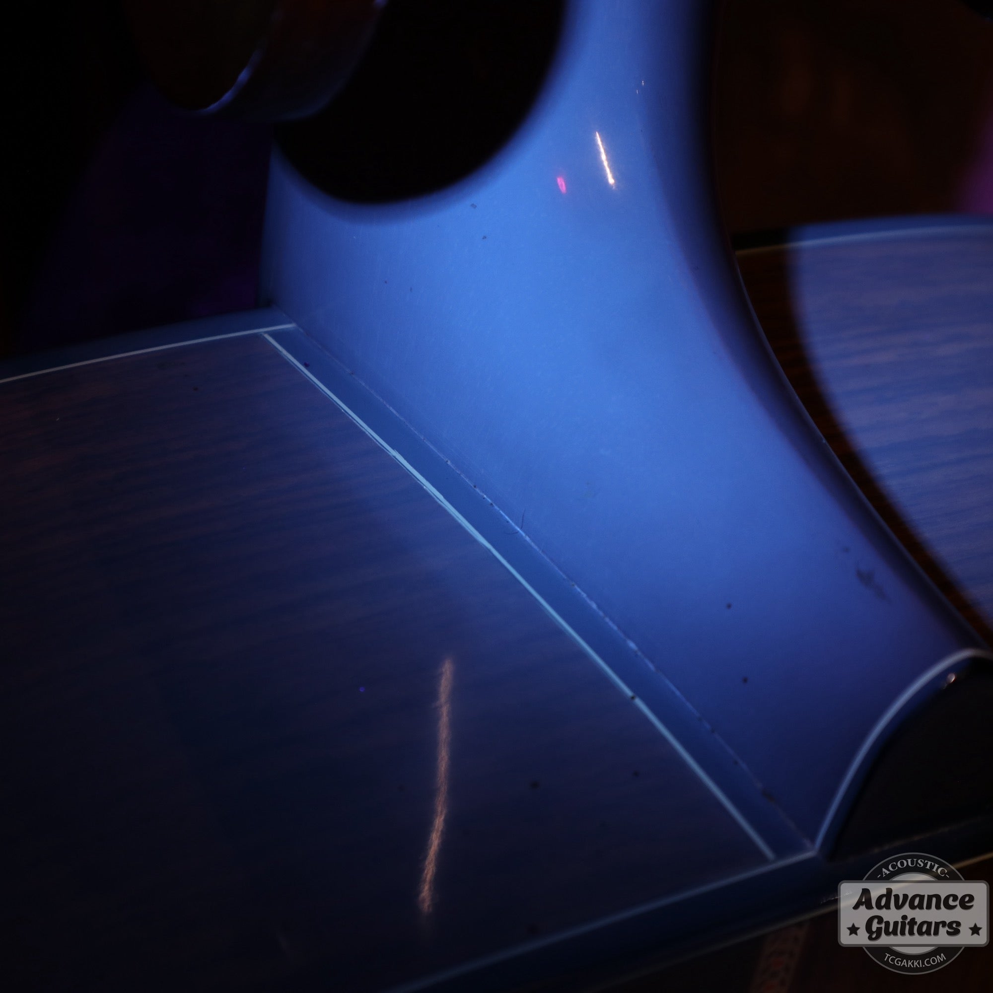 1979年製 Dreadnought Custom - TC楽器 - TCGAKKI