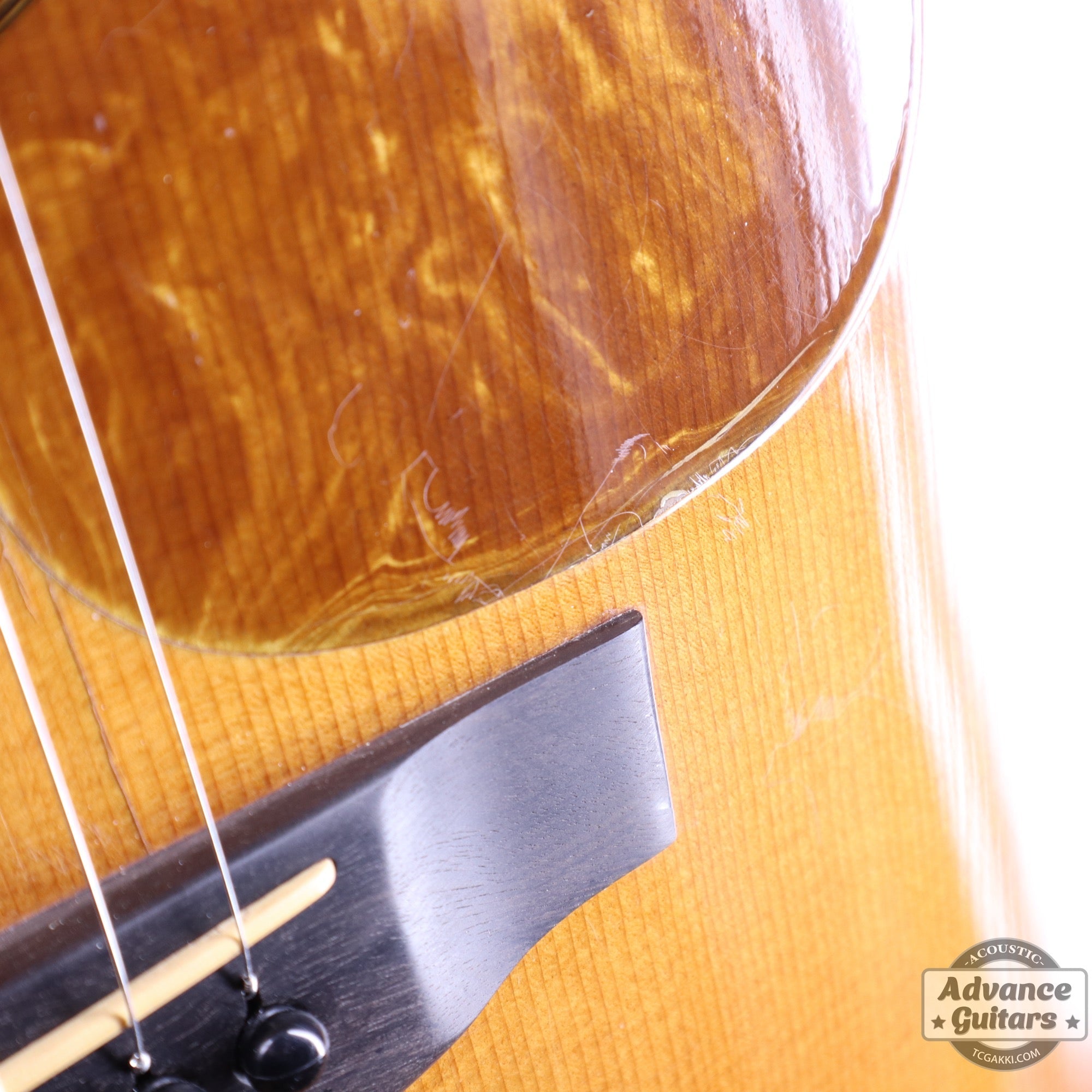 1979年製 Dreadnought Custom - TC楽器 - TCGAKKI