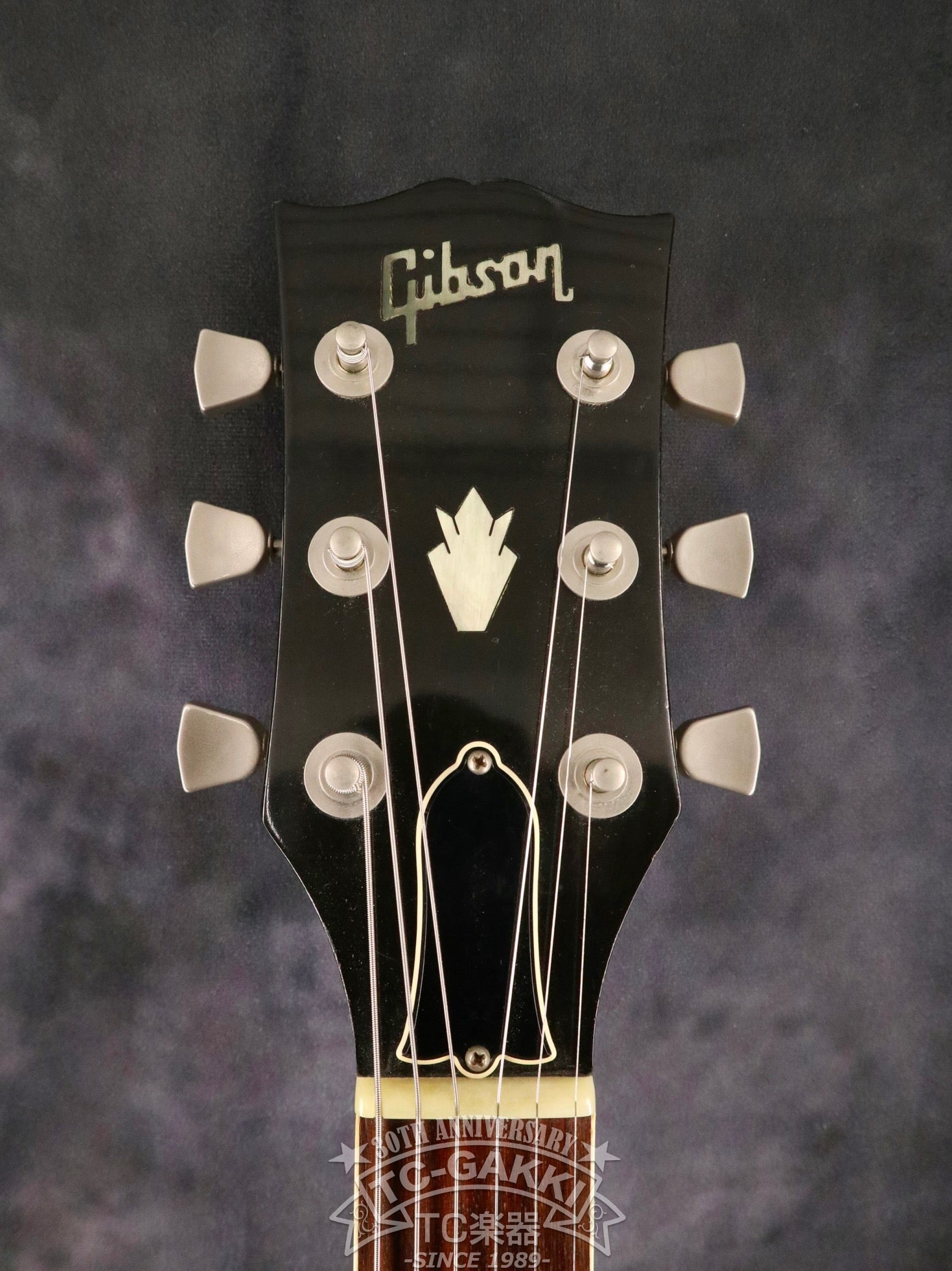 1979 ES - 335TD - TC楽器 - TCGAKKI