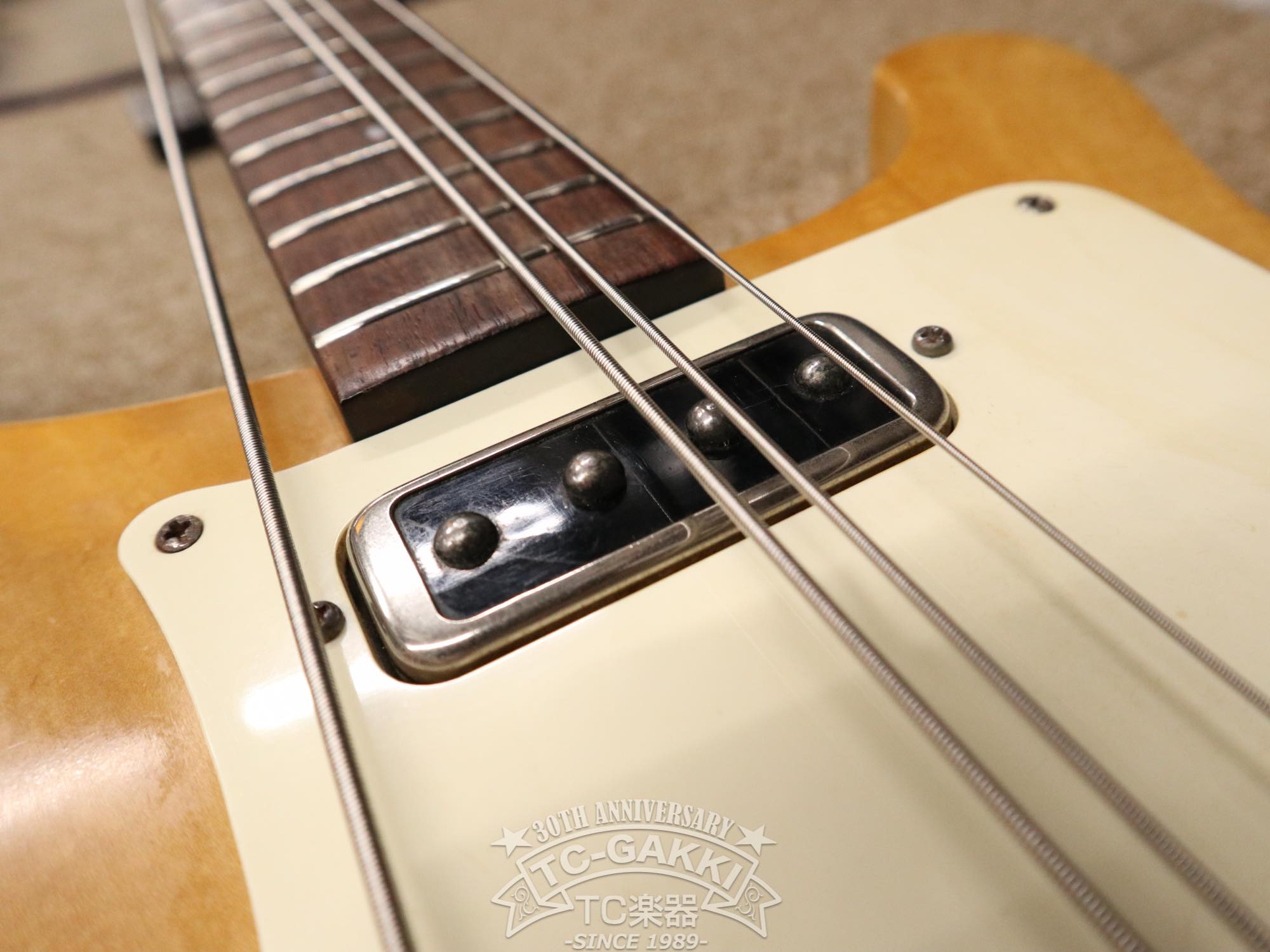1979 Greco PMB - 800 - TC楽器 - TCGAKKI