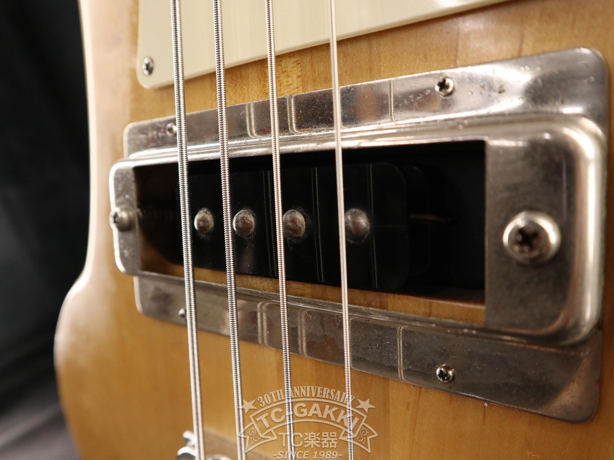 1979 Greco PMB - 800 - TC楽器 - TCGAKKI