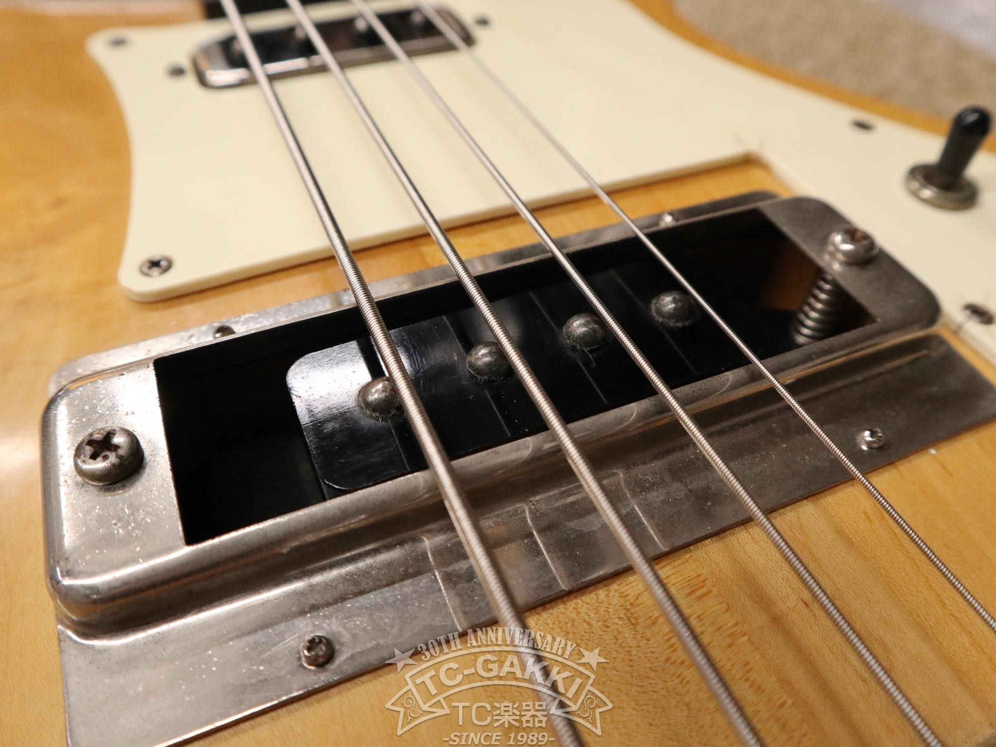 1979 Greco PMB - 800 - TC楽器 - TCGAKKI