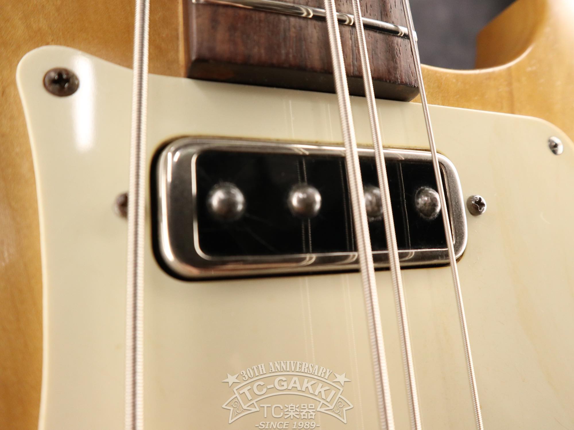 1979 Greco PMB - 800 - TC楽器 - TCGAKKI