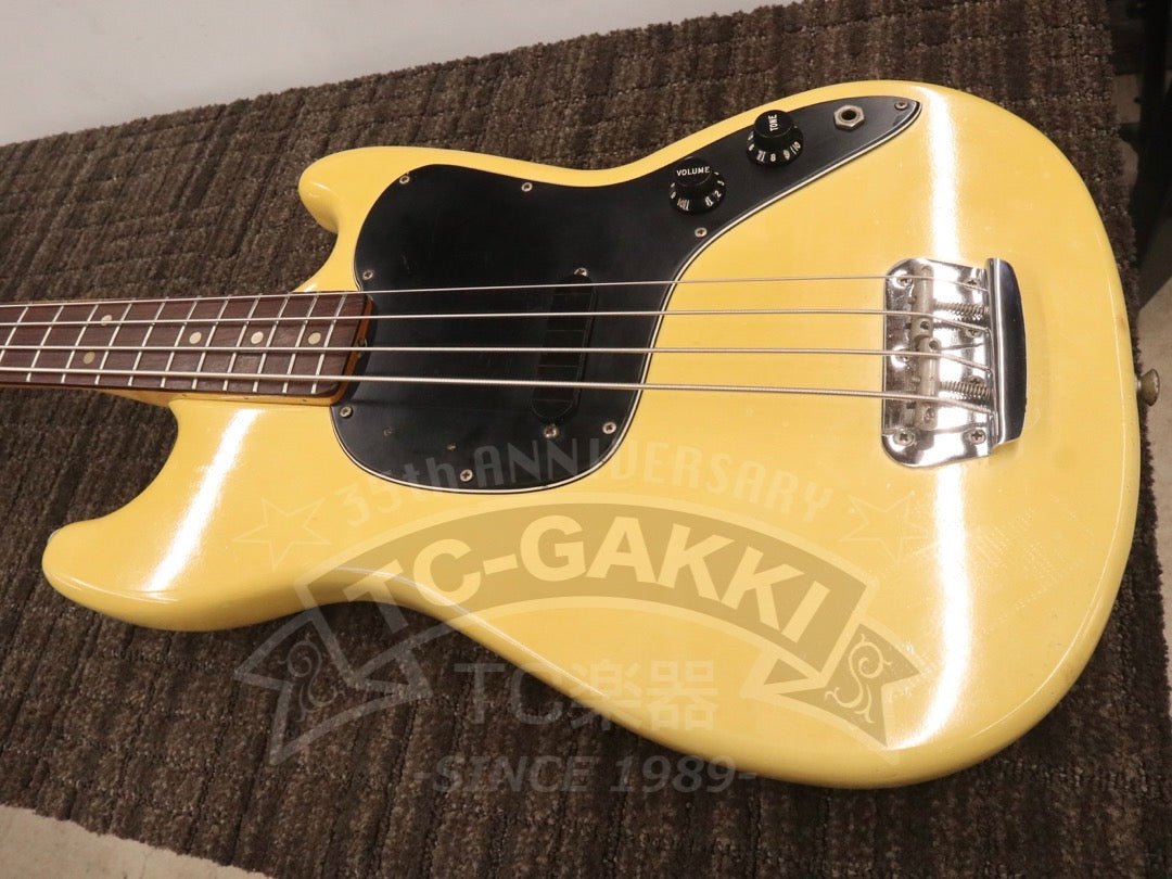 1979 Musicmaster Bass - TC楽器 - TCGAKKI