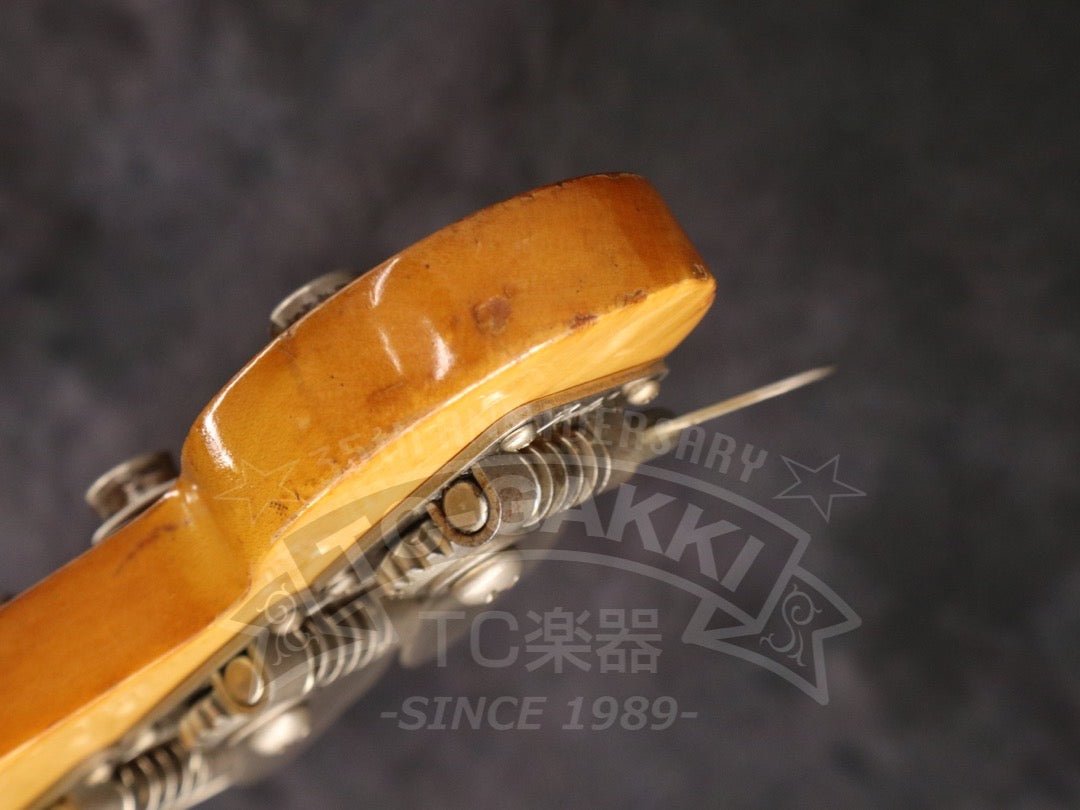 1979 Musicmaster Bass - TC楽器 - TCGAKKI