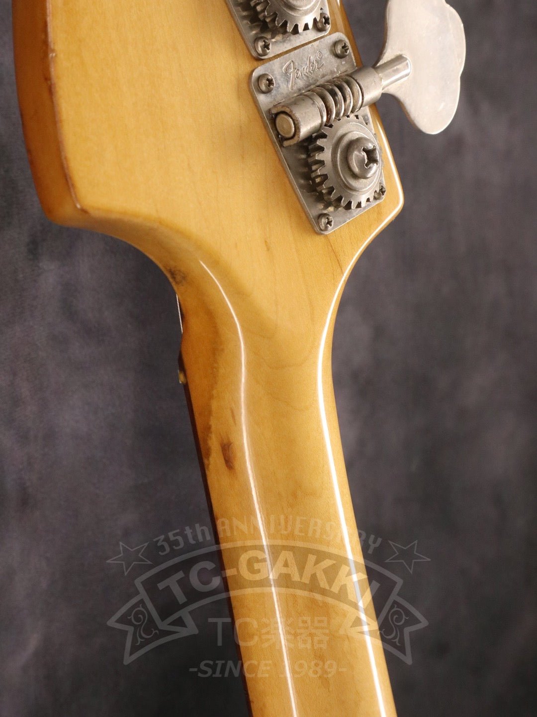 1979 Musicmaster Bass - TC楽器 - TCGAKKI