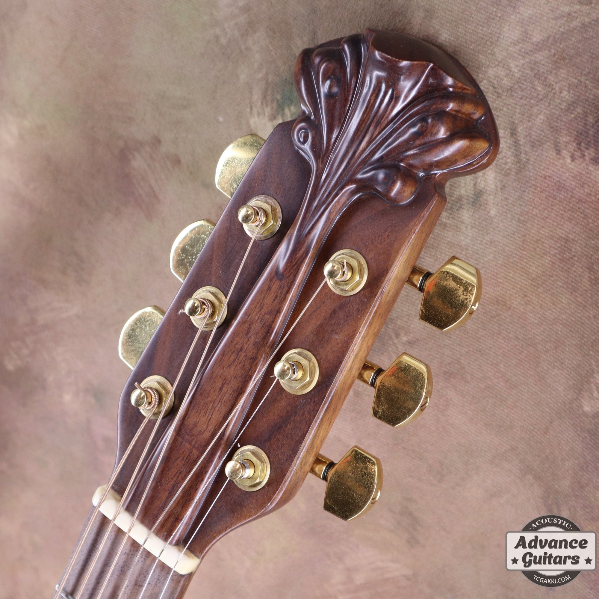 1979年製 Super Adamas 1687 - 9 - TC楽器 - TCGAKKI